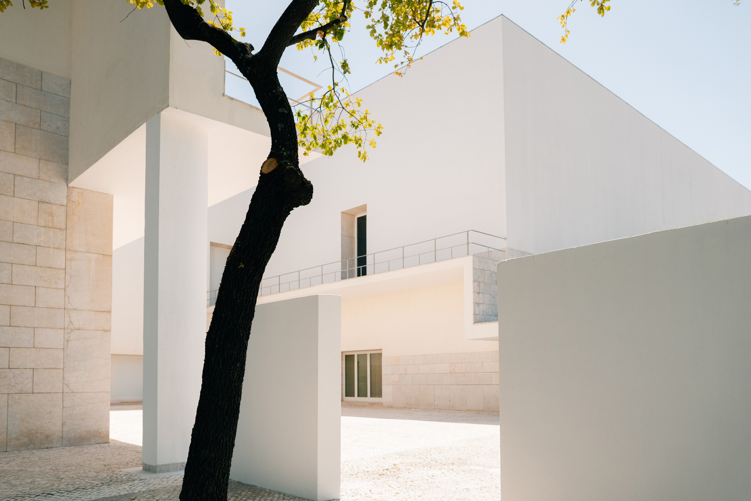 Street. Maria Sher. Professional photographer from Porto, Portugal