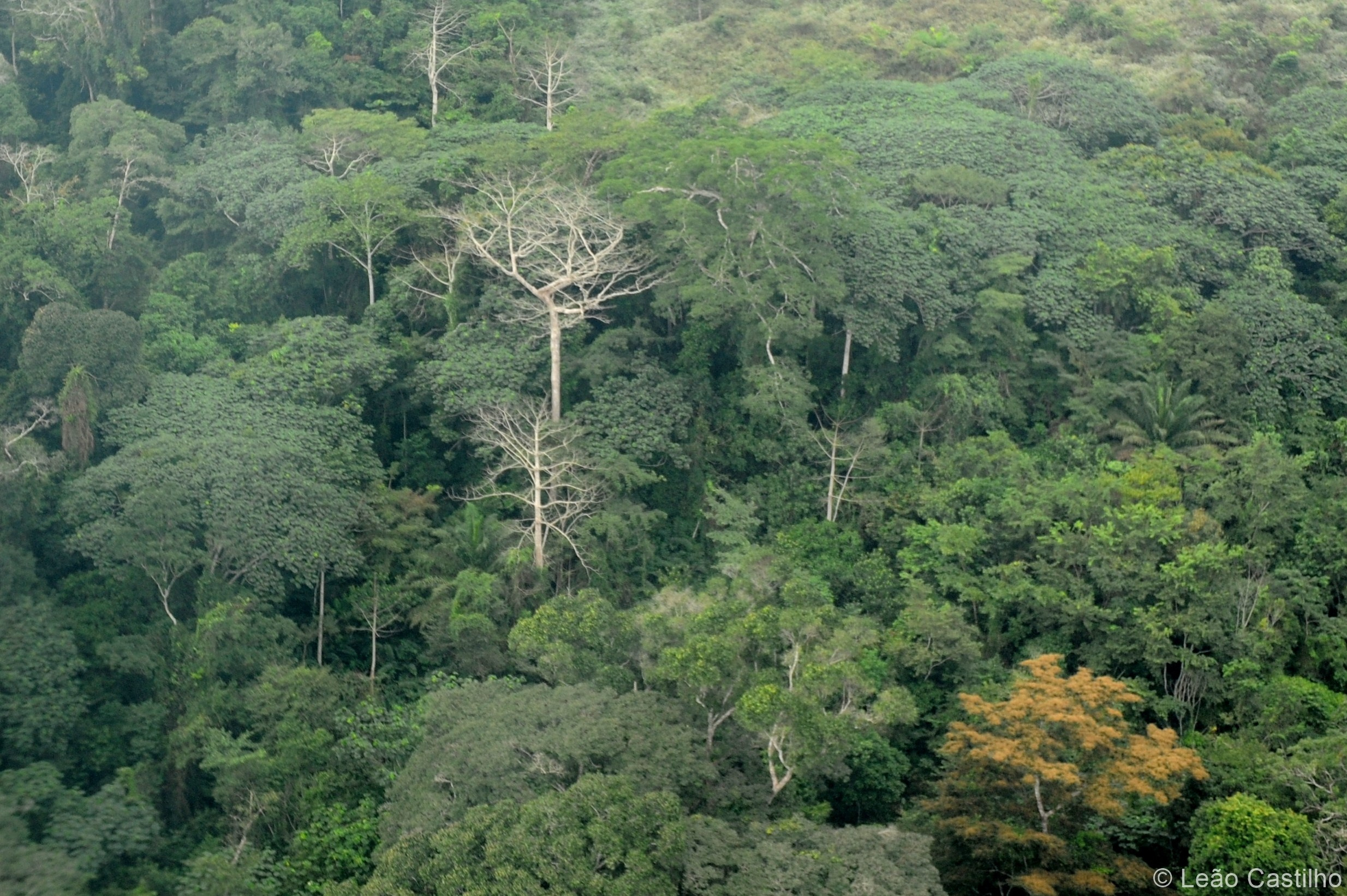 Aerial photos. Simbahalu