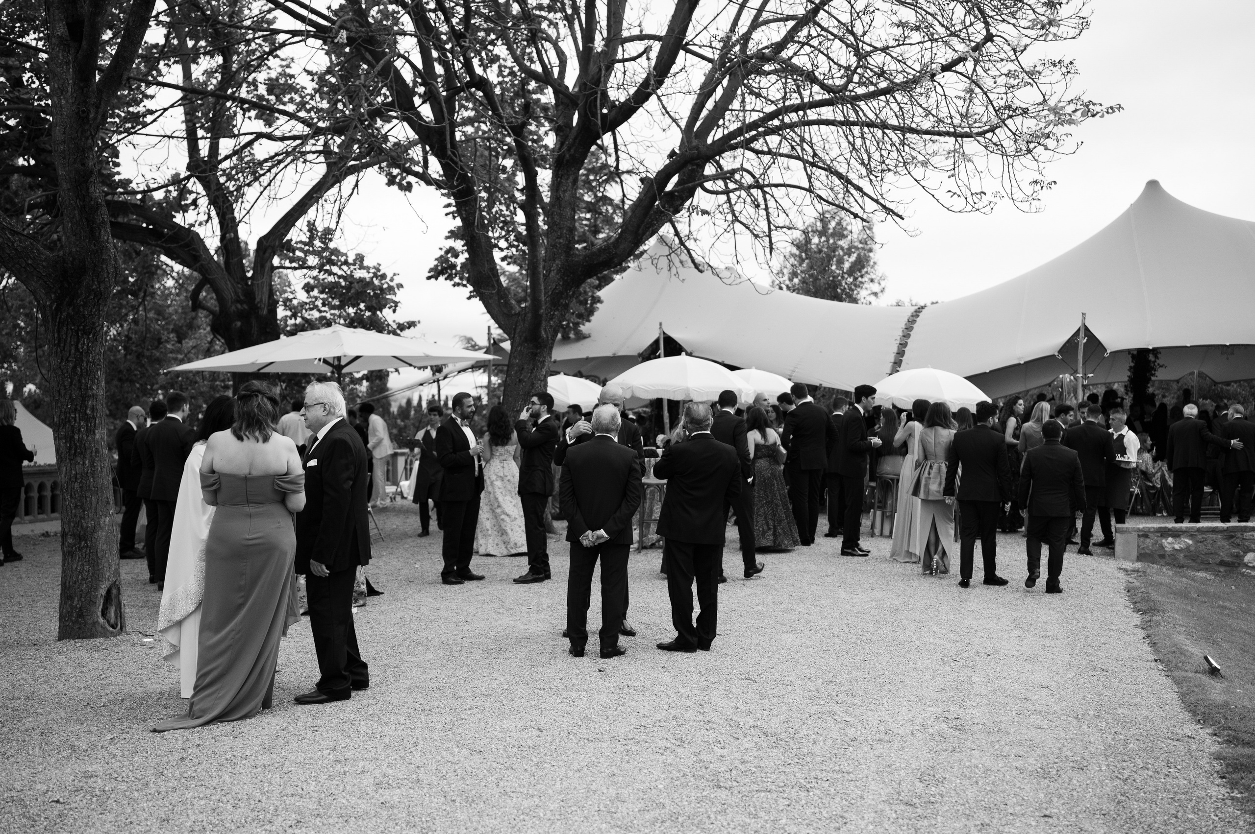 Sara & Javid. Wedding photographer in Spain