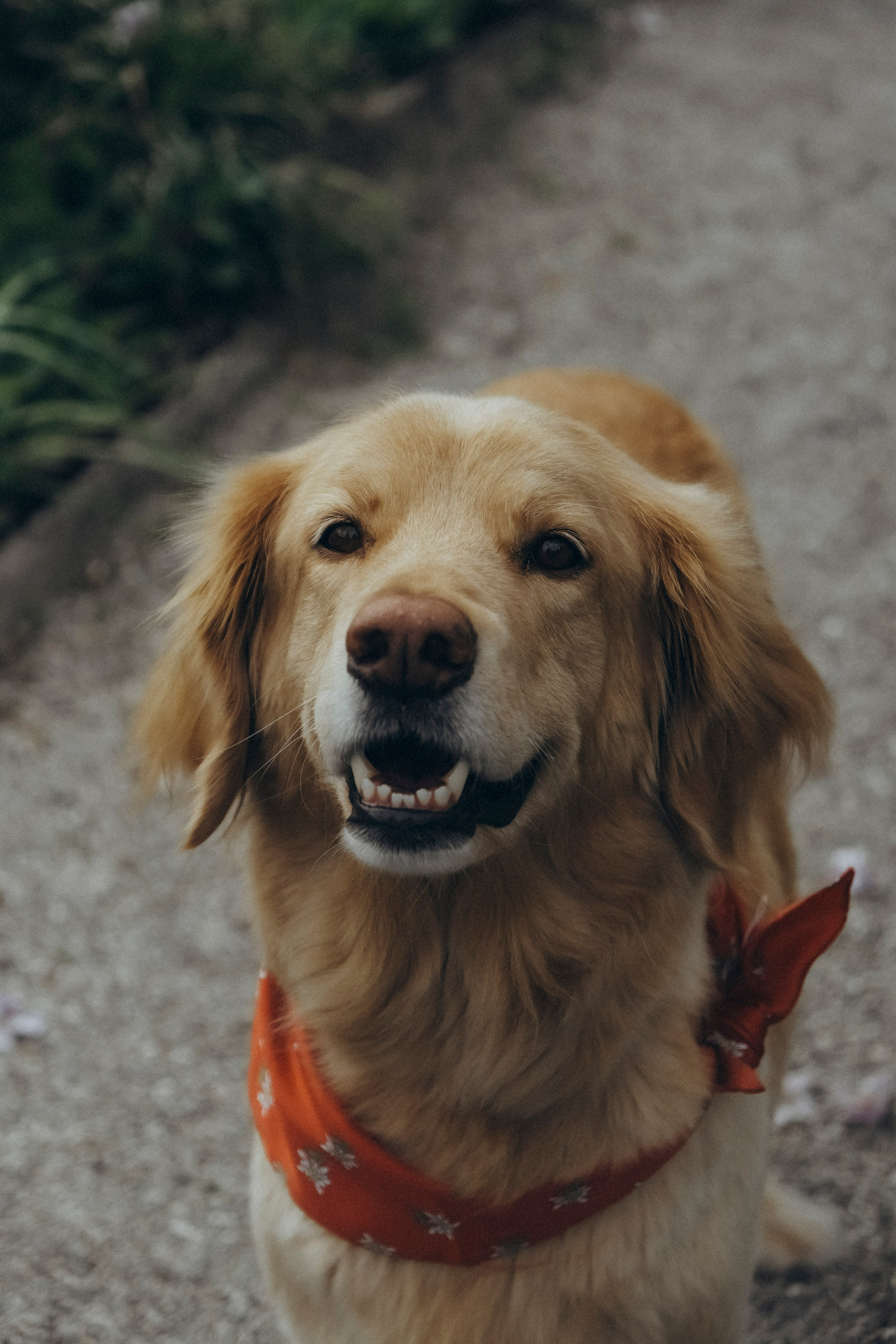 Three generations & one tail. Фотографы Минск и мир