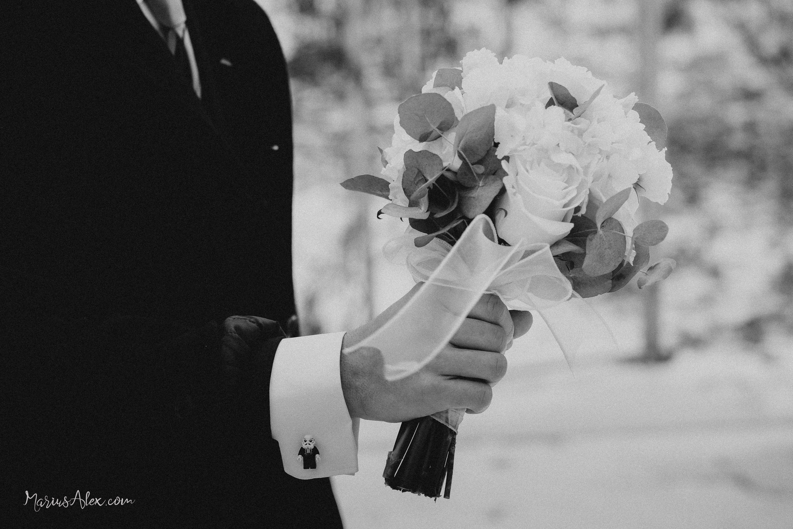 Daniela & Gabriel. Marius Alex fotograf de eveniment si portret din Suceava