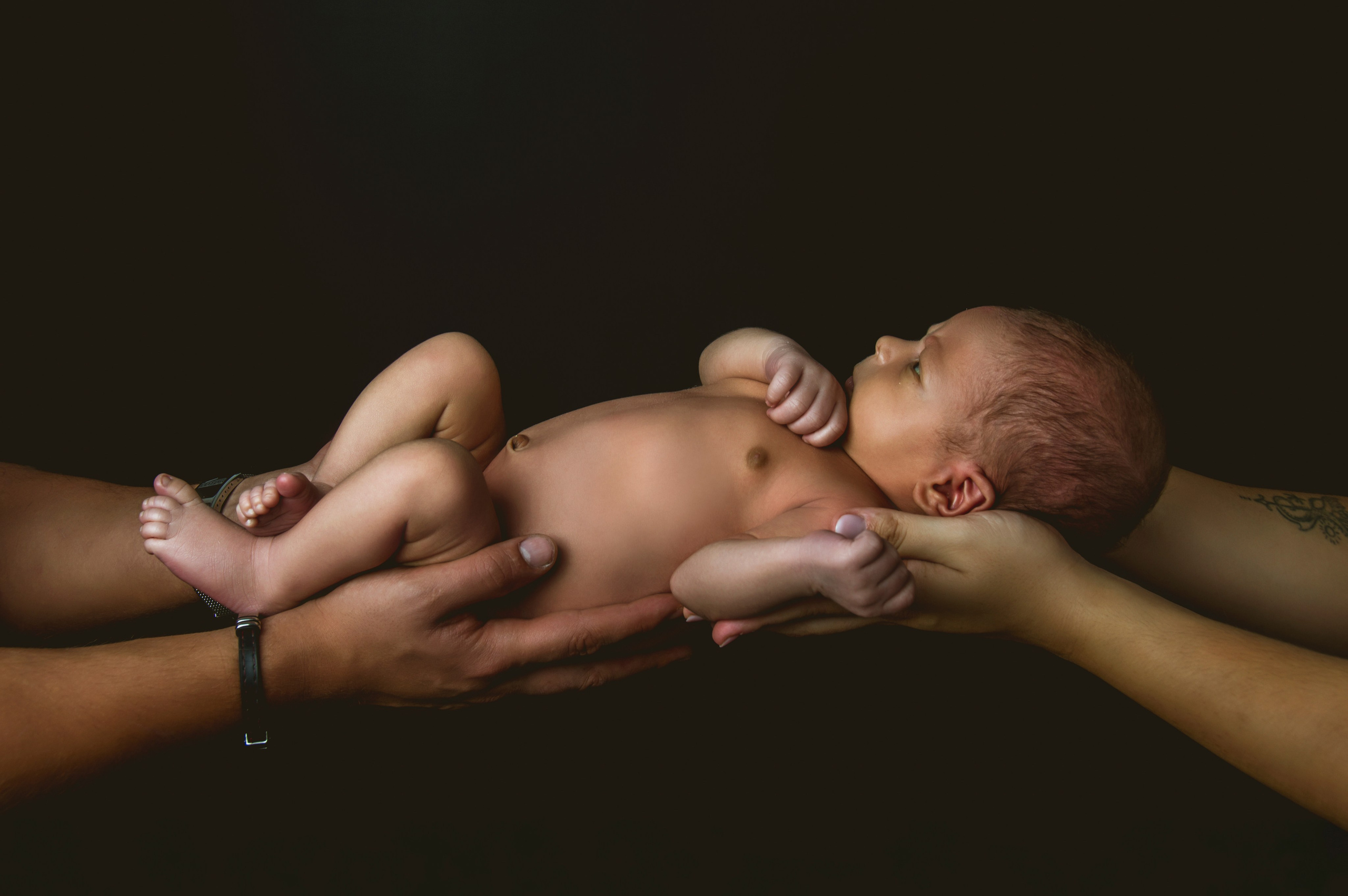 Dylan. Fotografía Antonio Luis Bascón