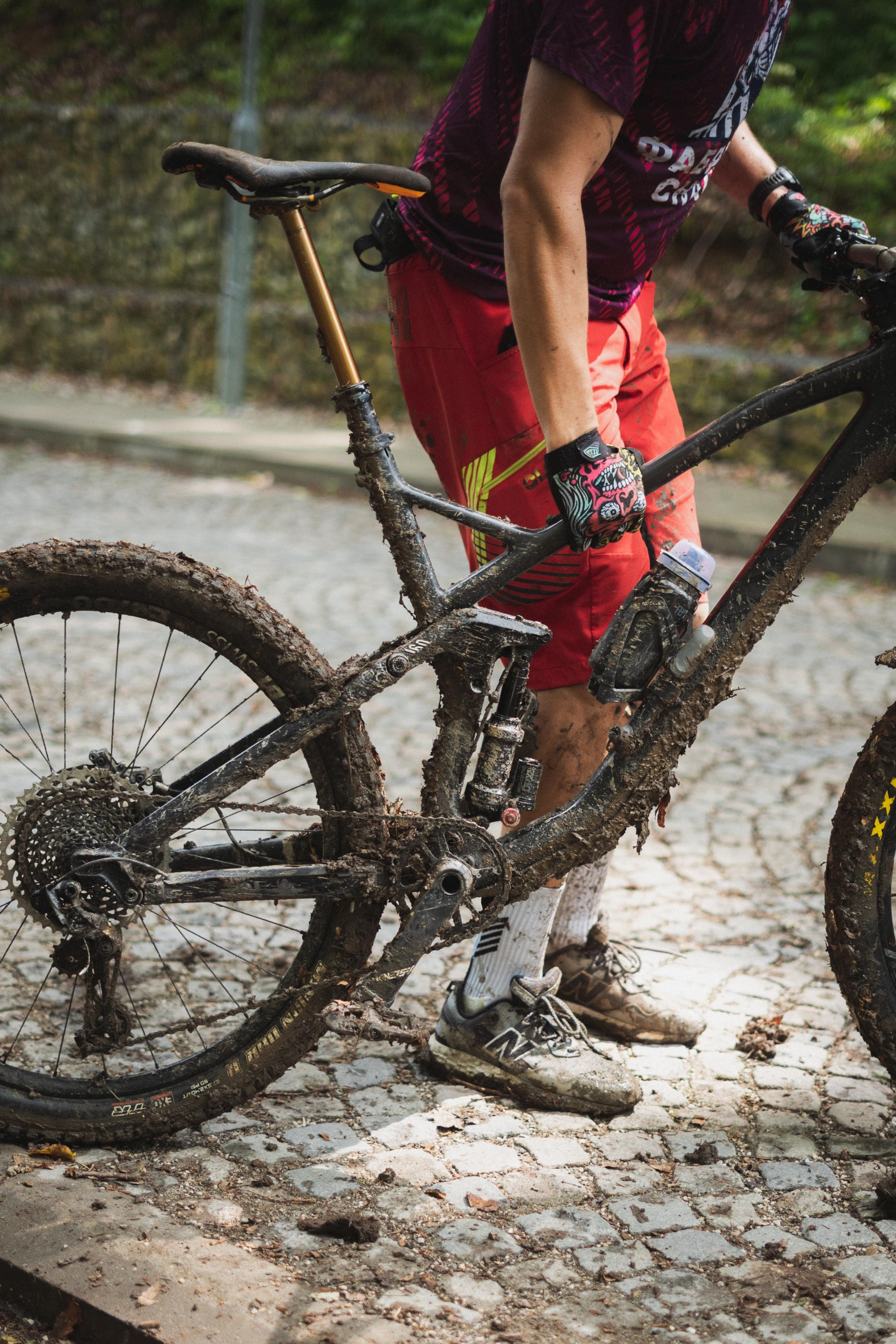 Tour de Fruska. Zhukov studio