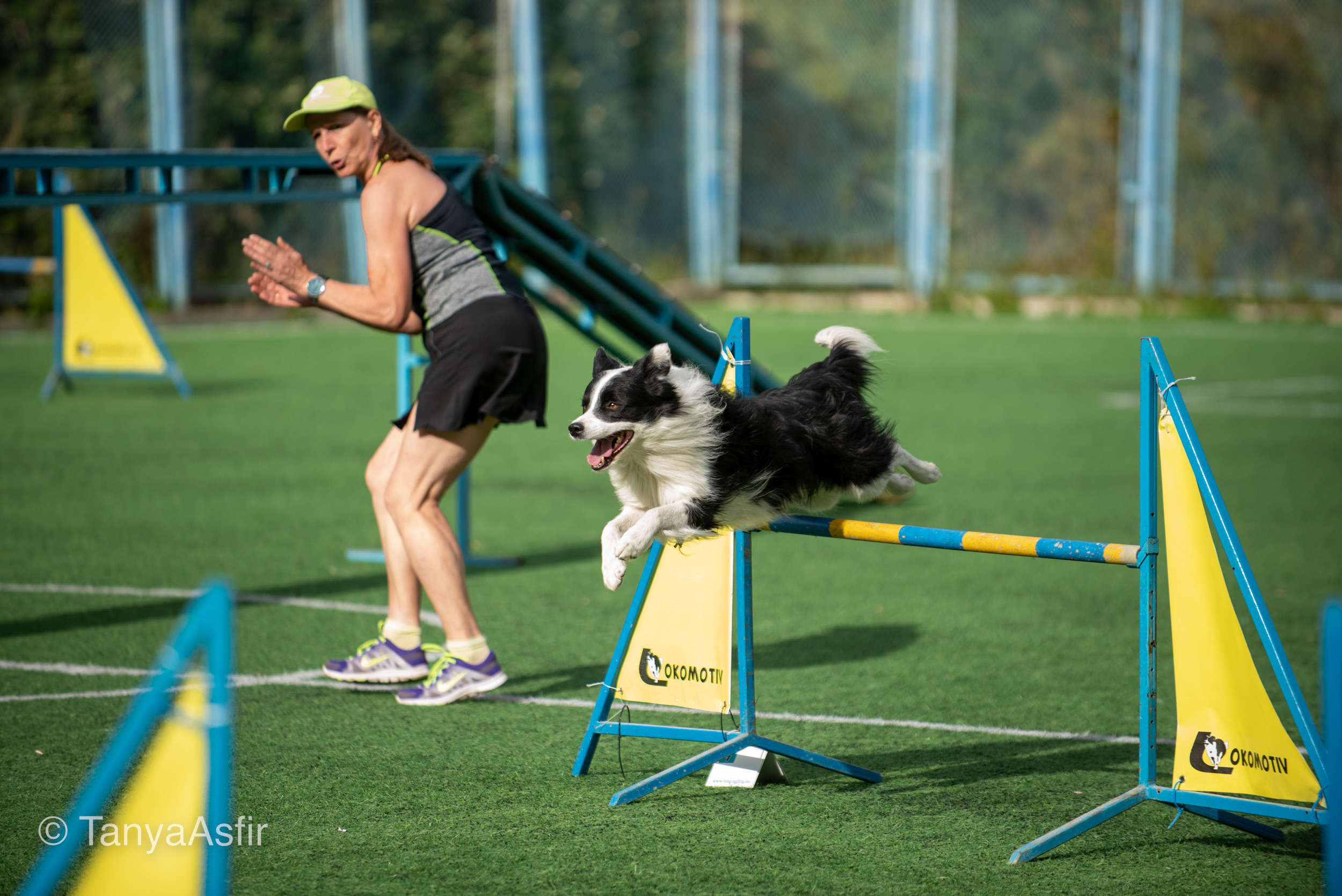 Репортаж событий из мира кинологии. Фотограф в Белграде Таня Асфирь