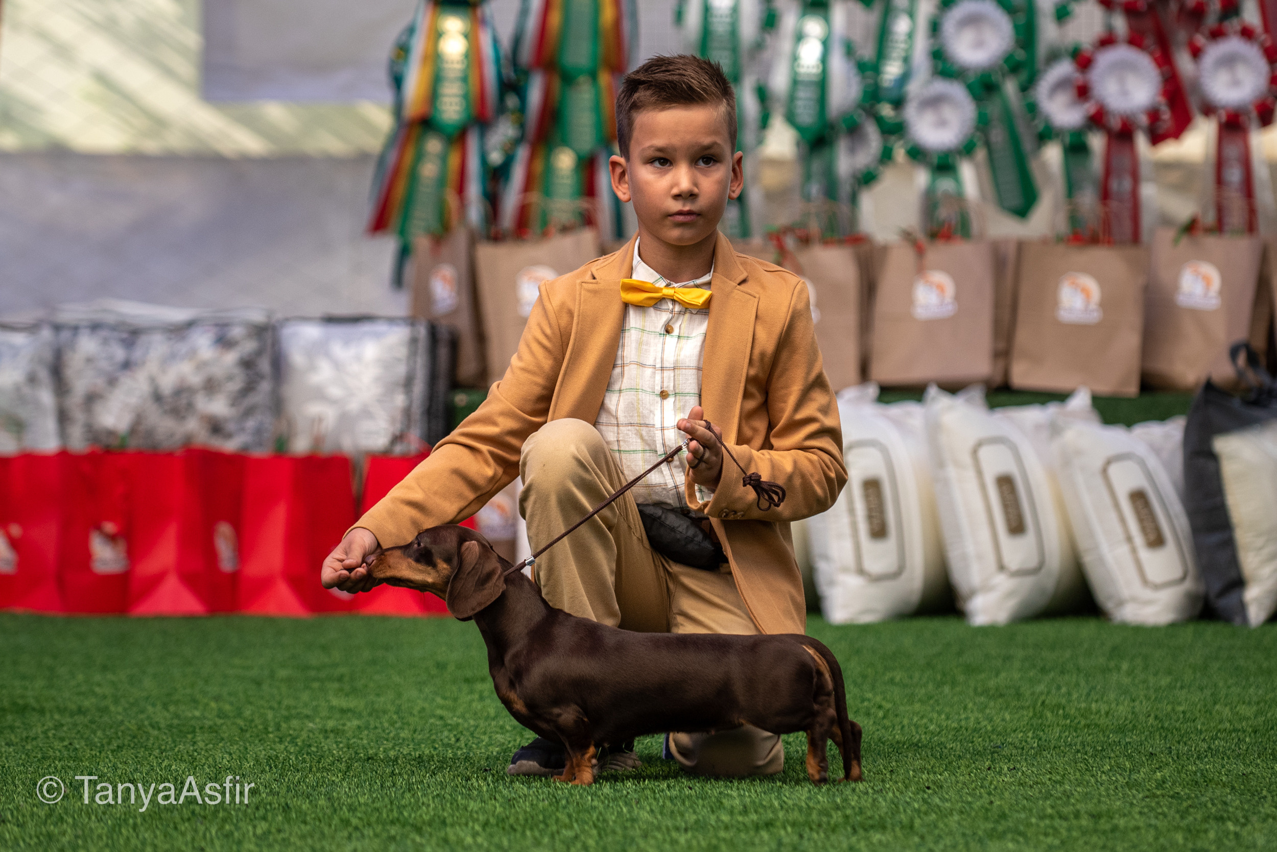 Репортаж событий из мира кинологии. Фотограф в Белграде Таня Асфирь