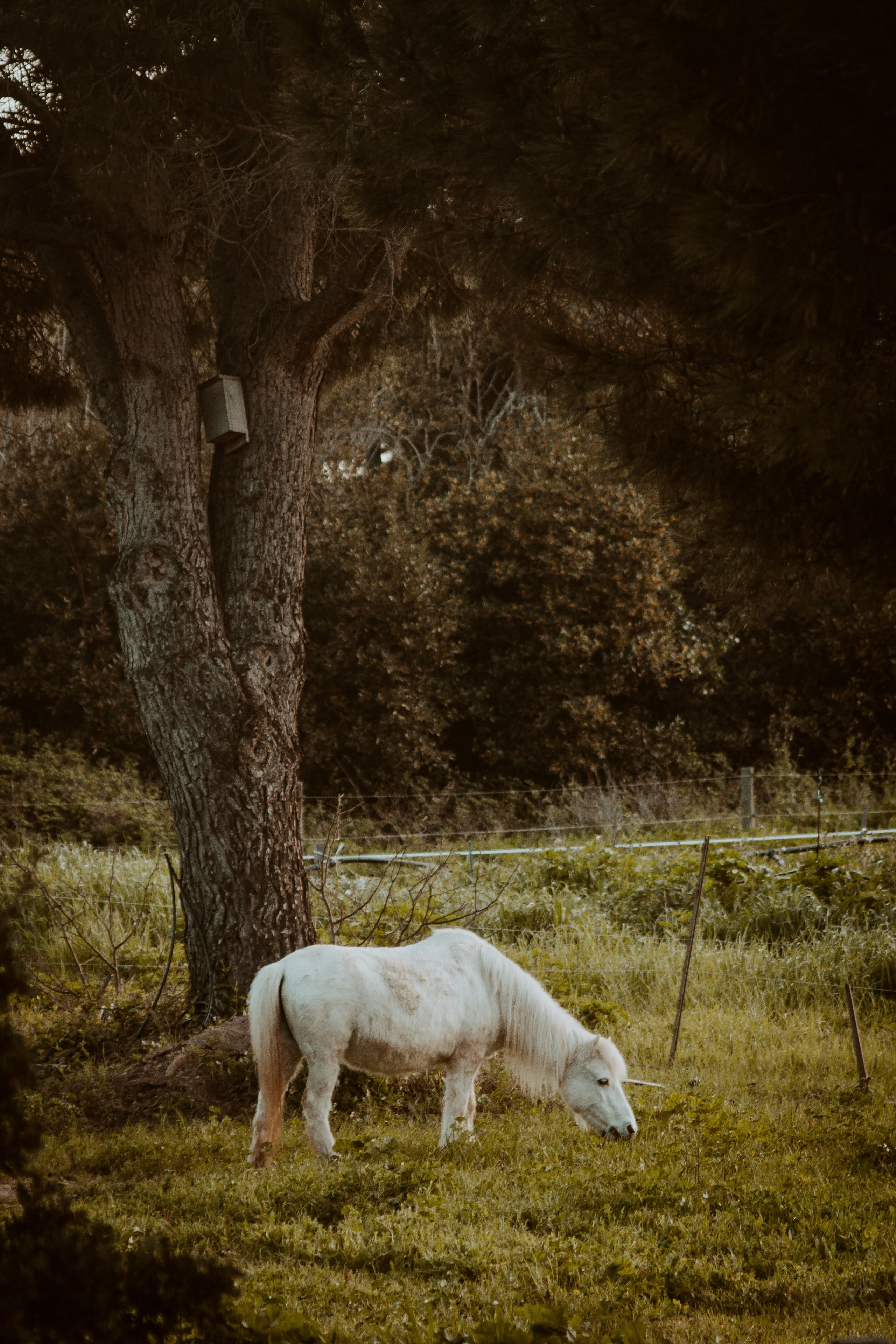 La Coudoulière, Saint Mandrier. Photographe à la Seyne sur Mer, Var