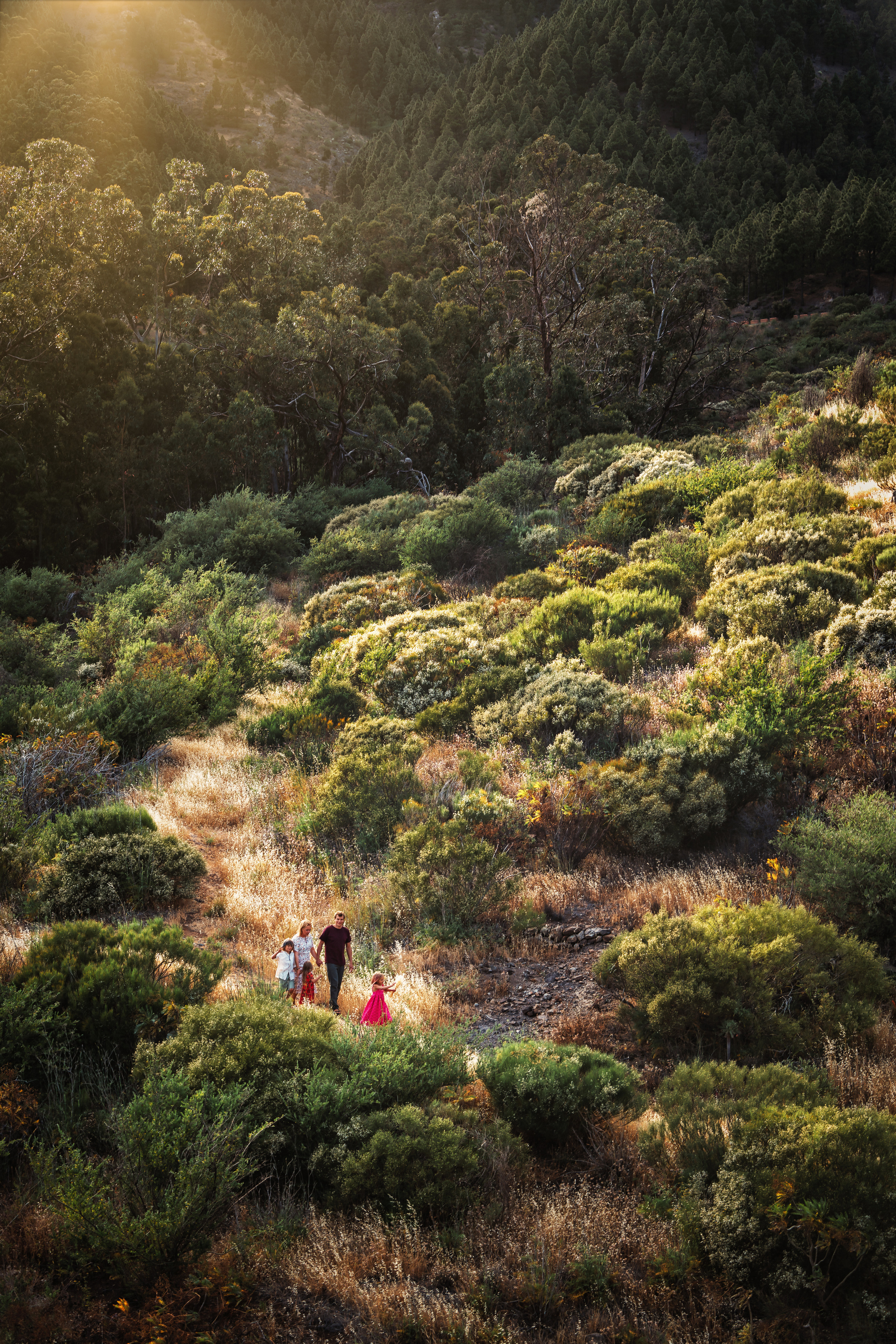Семейные. Профессиональный фотограф на Тенерифе