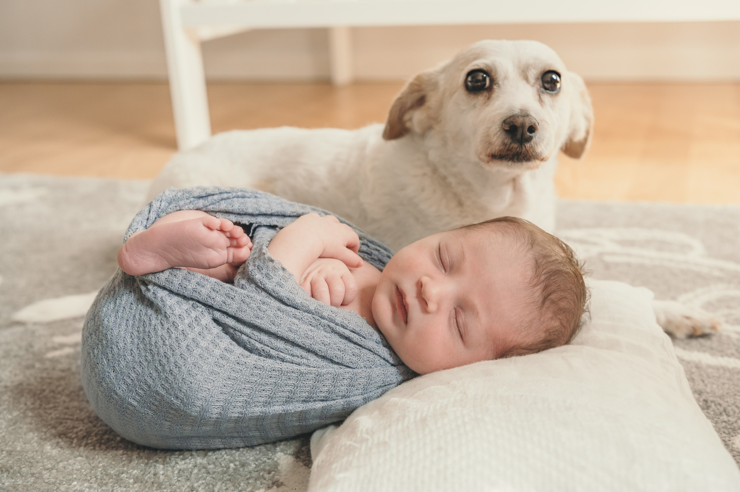 David. Maternity Newborn and Family photographer Hamburg Claire Hambley