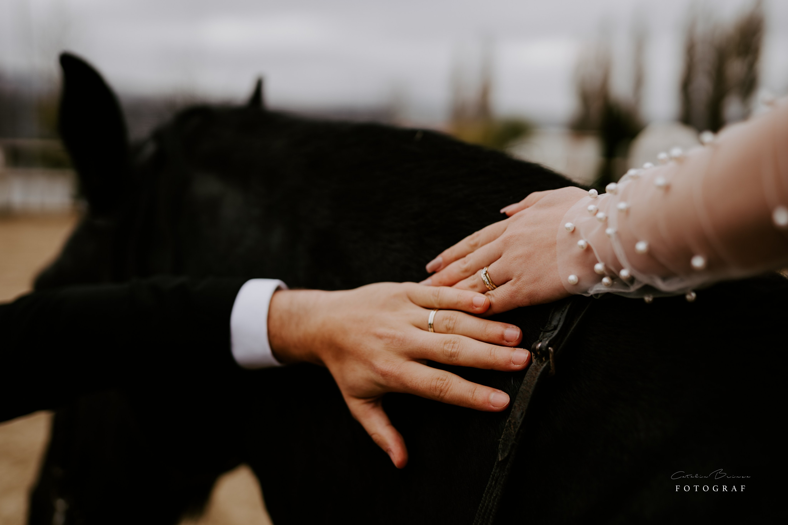 TTD — Ioana&Stefan. Catalin Brinza