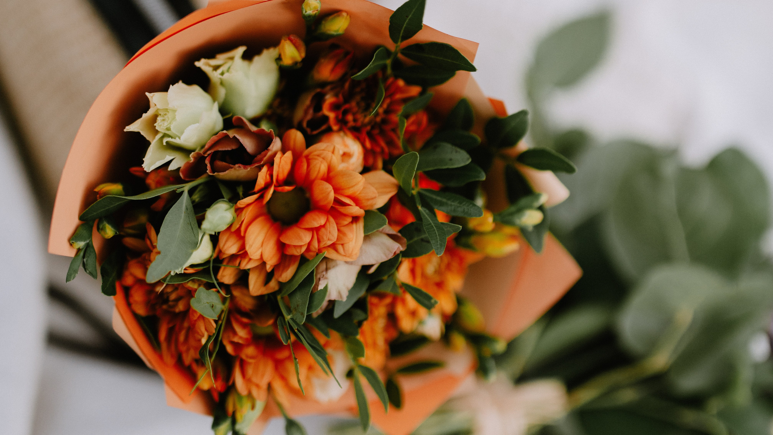 Oli&klaudi. ANNA-MARIA PHOTO CONTENT CREATOR — photographer, aesthete, artist, and visual expert for Instagram in Prague