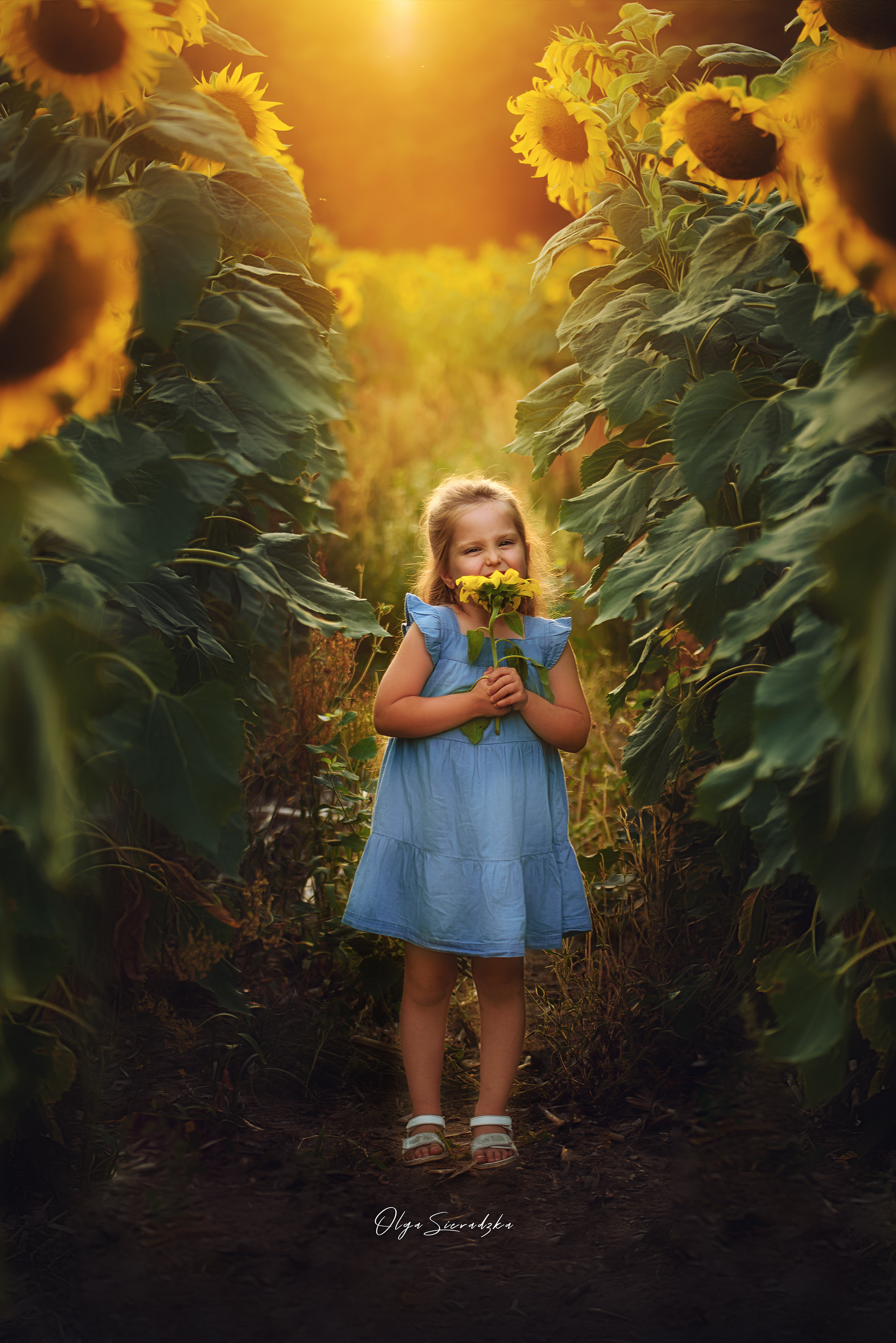 Bajka. Olga Sieradzka fotograf rodzinny, ciążowy i dziecięcy w Pile