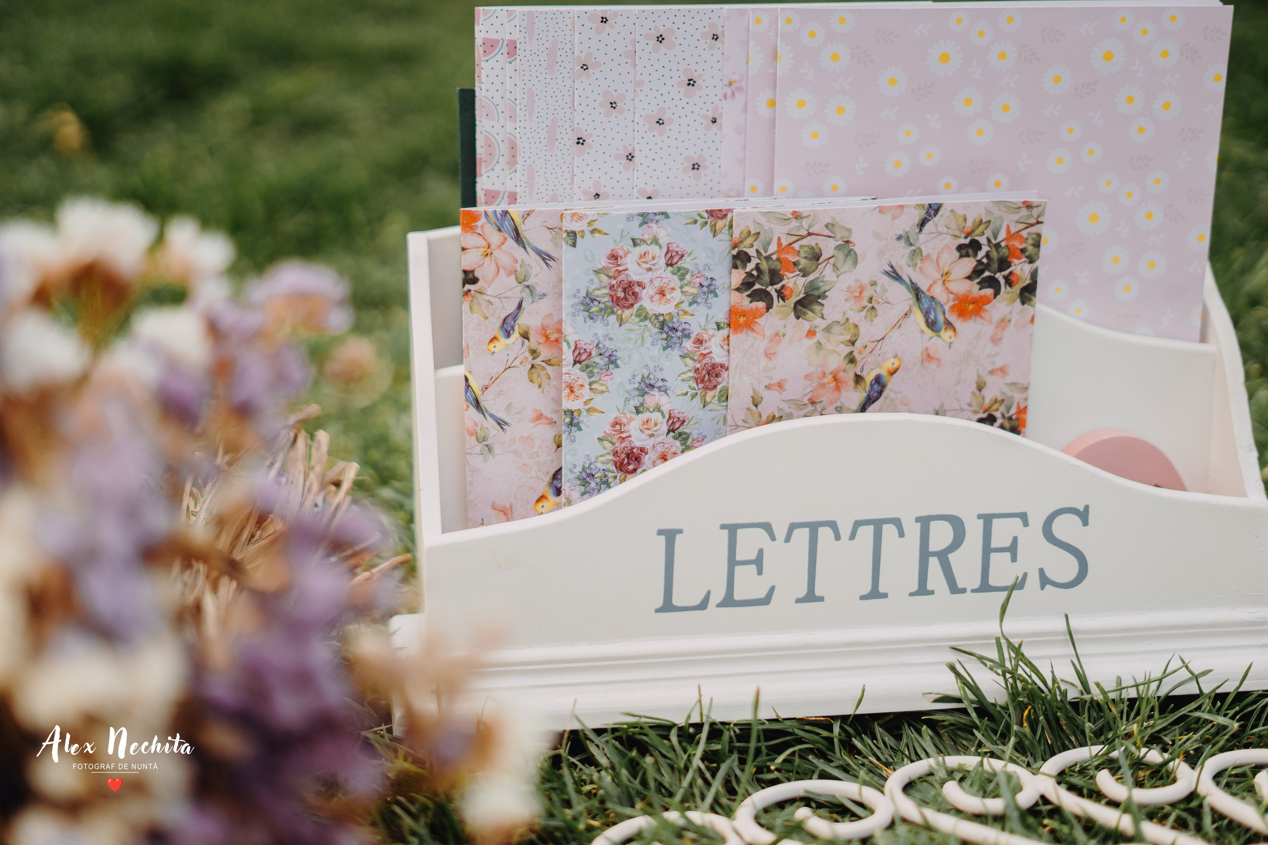 Aniversare în parc. Foto-Video Nunta Iasi, Suceava, Bucuresti / Disponibilitate 2025 — 2026 — 2027