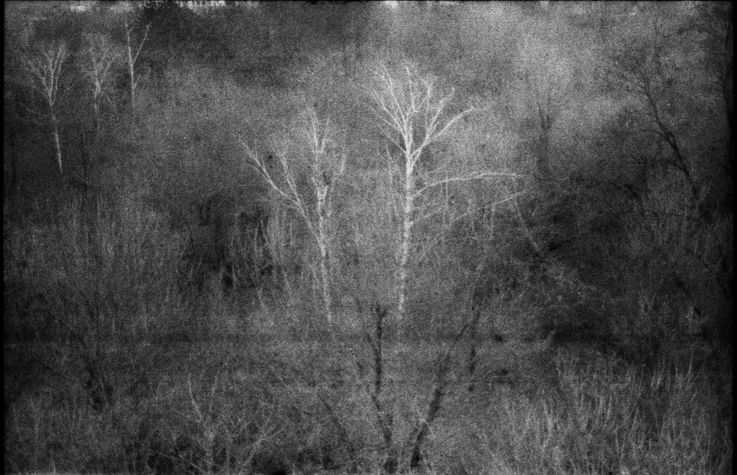 Silent light. Natalia Parfenova visual artist film photographer