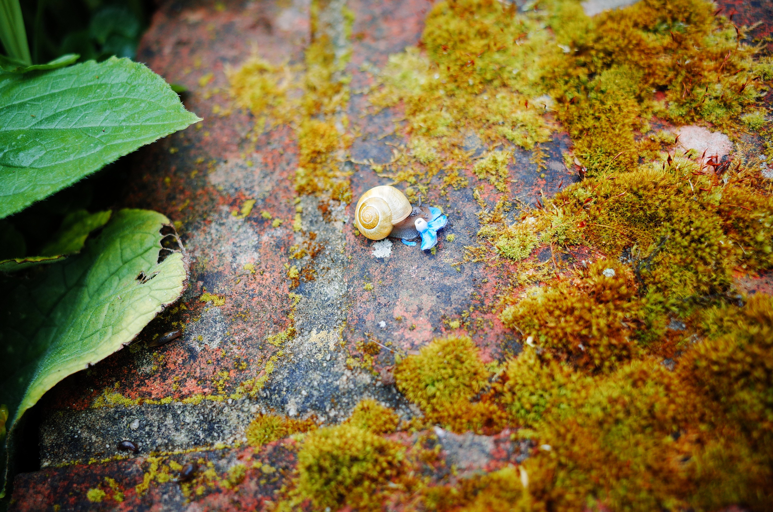 Kingsnorth in Gold. Victoria Dini. Art photography in London / Folkestone, UK