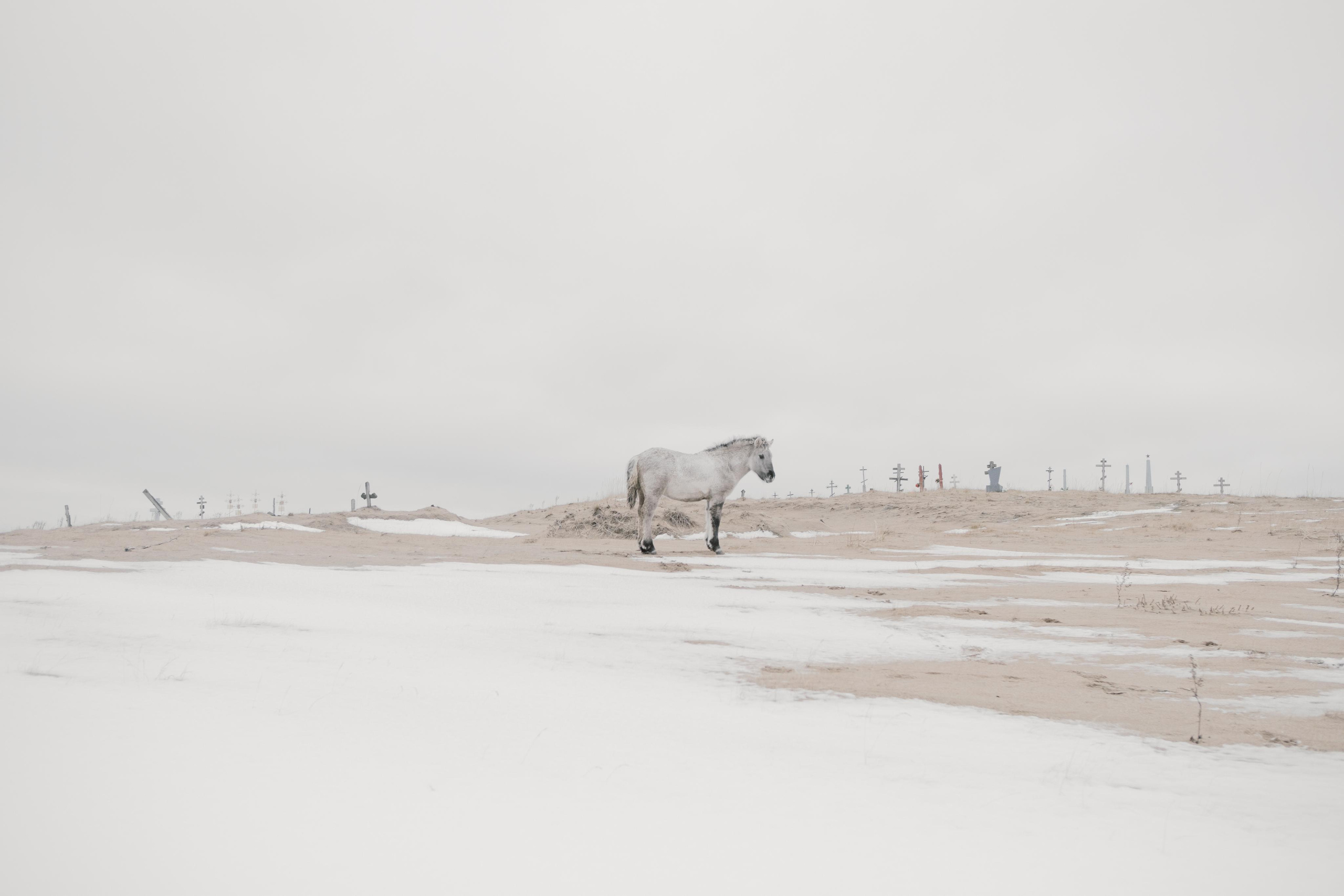 Tersky coast. Photographer Anastasiya Dubrovina