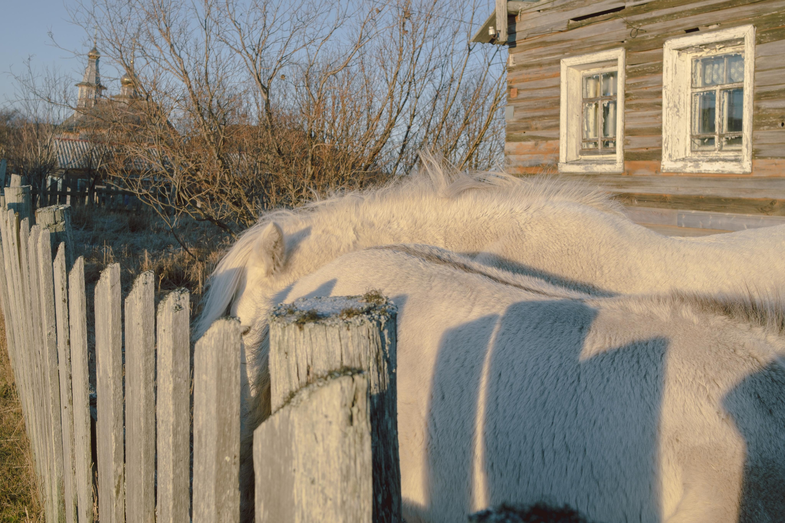 Tersky coast. Photographer Anastasiya Dubrovina