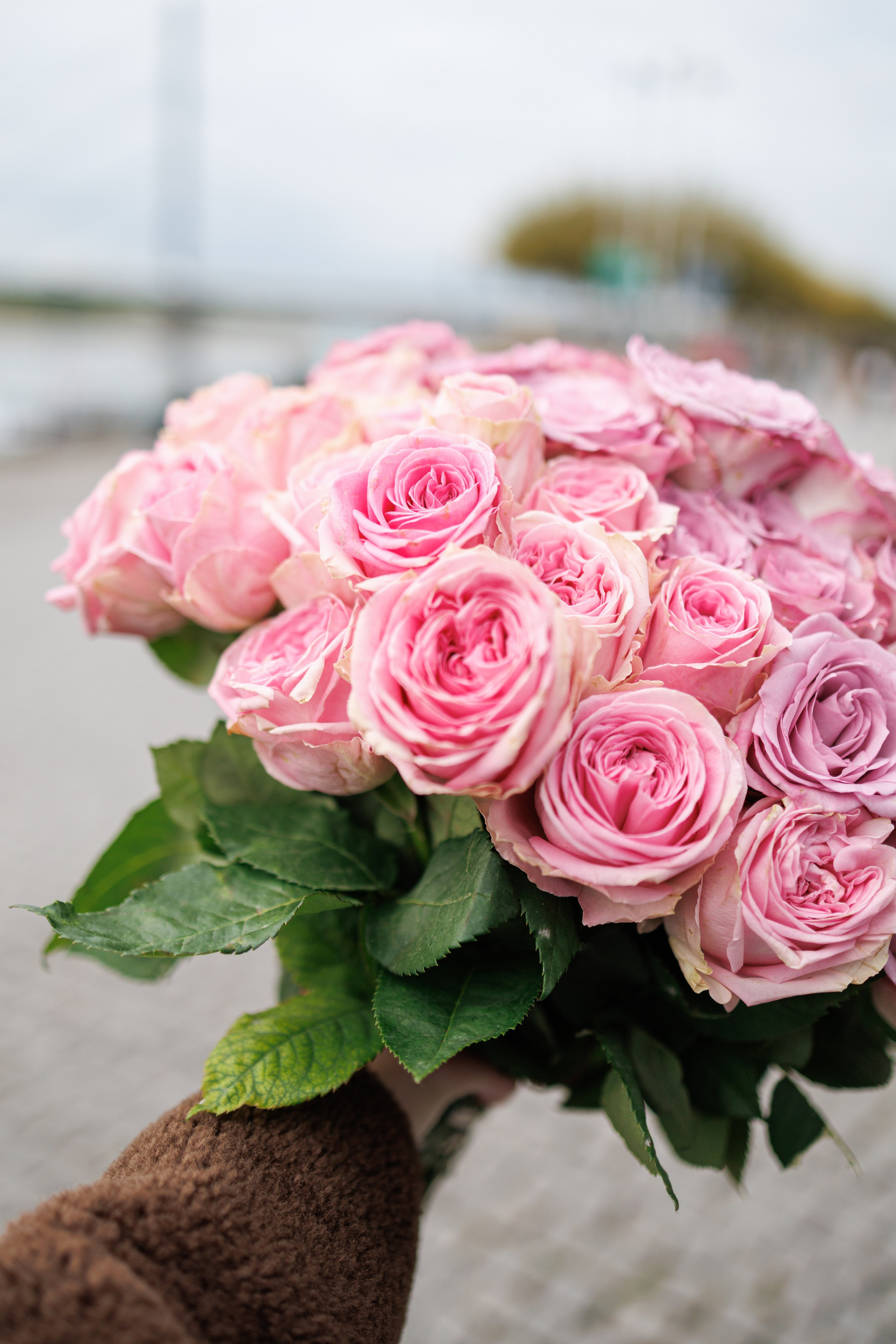 She said 'Yes'. Dienstleistungen