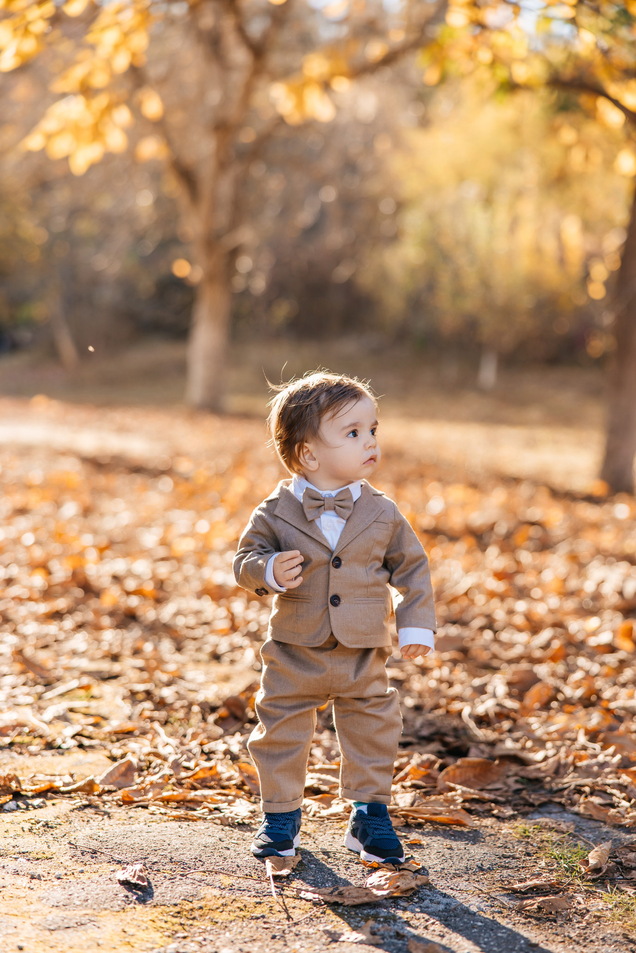 Mark. Furduidumitru.com