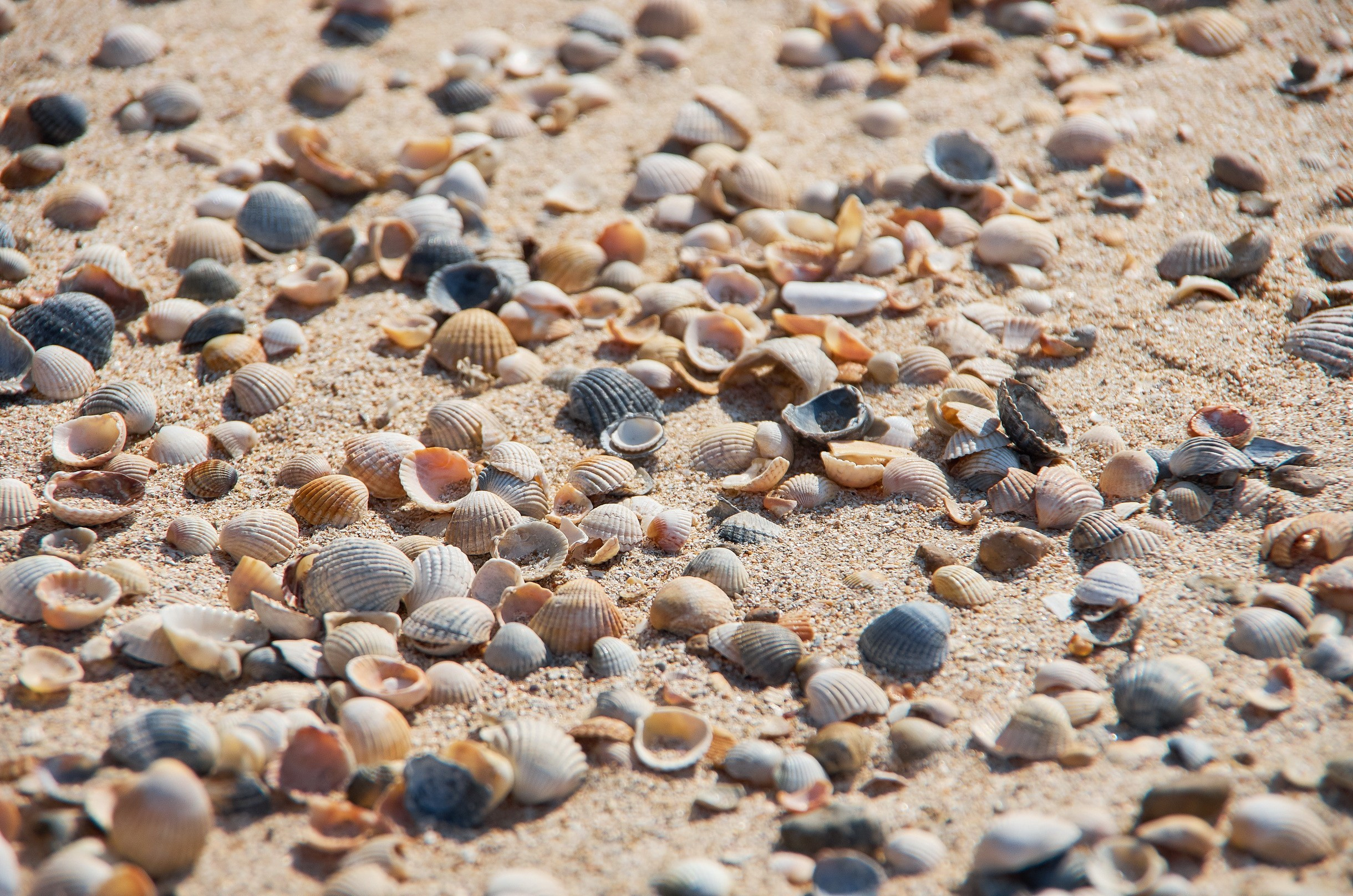 Close-Up. Yuri Popkov | Photographer