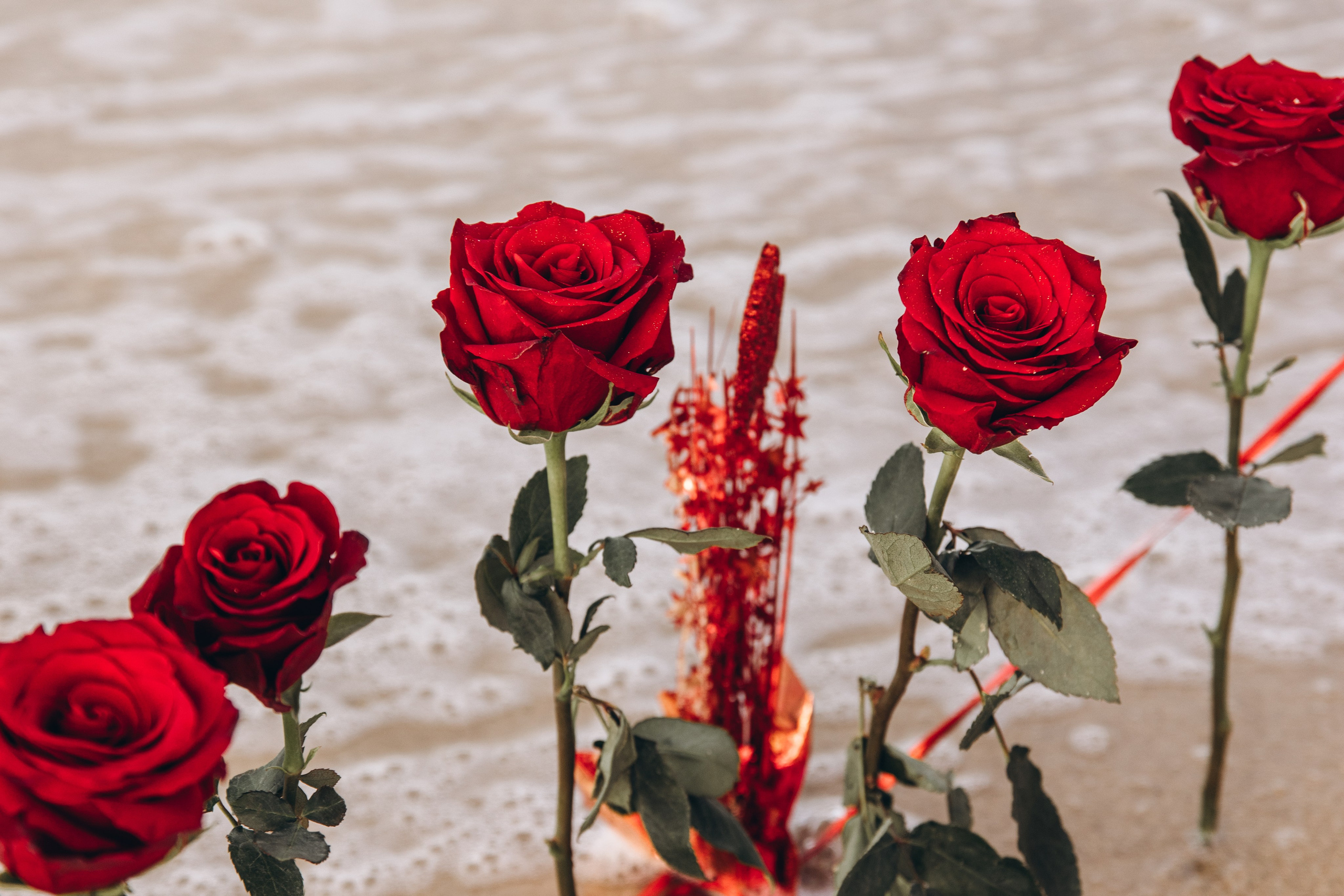 Pedido de Casamento. Luxury Wedding Photography & Cinematic Films | Portugal & Destination Weddings | Ricardo & Mary Pictures