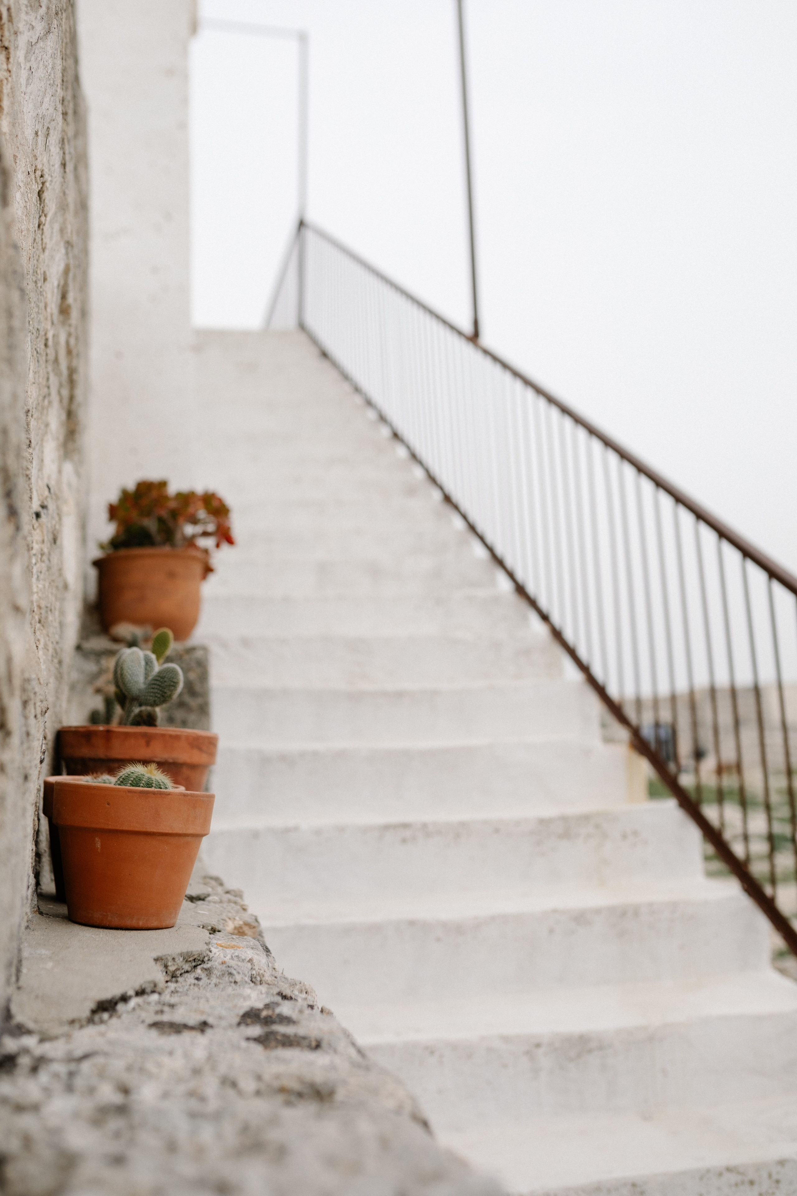 Alyssa&Sean. Весільний фотограф Вікторія Саврук