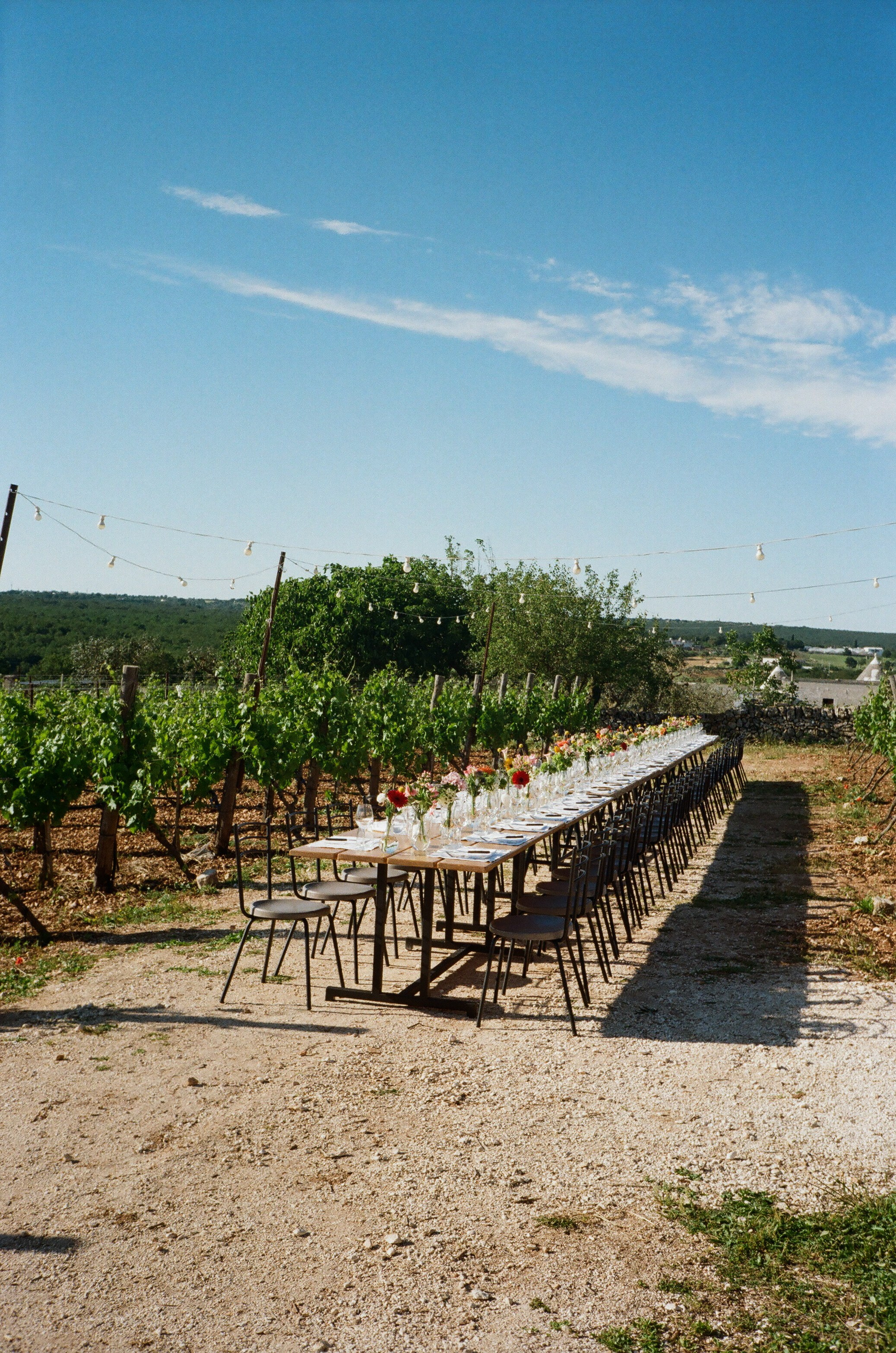Stephanie & Christian film photos. Wedding photographer Italy