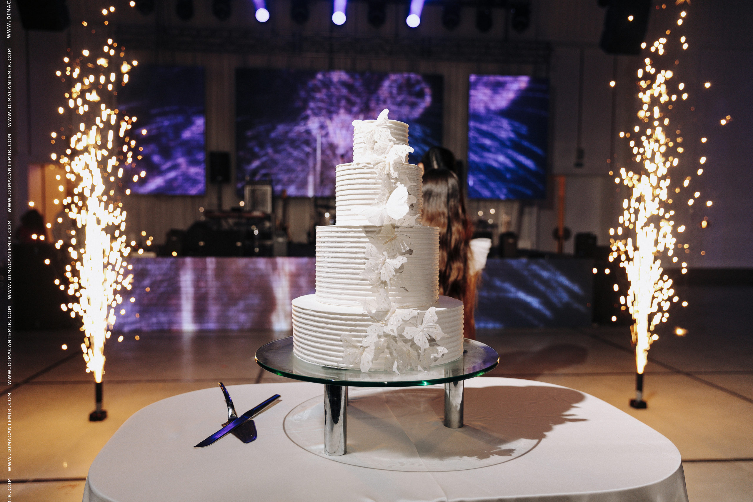 RADU + IRINA | MADISON. Fotograf de nuntă în Chisinau, Moldova. Poze și Video Comerciale