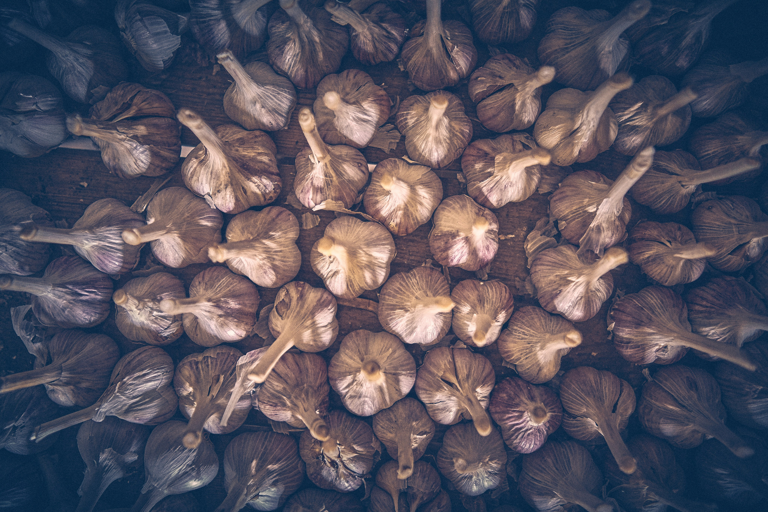 Andriej Szypiłow - Fotograf i Wideograf - Reportaż artystyczny - wizyta rodzinna in the middle of nowhere. Zabita dechami wieś na granicy Białorusi i Polski.