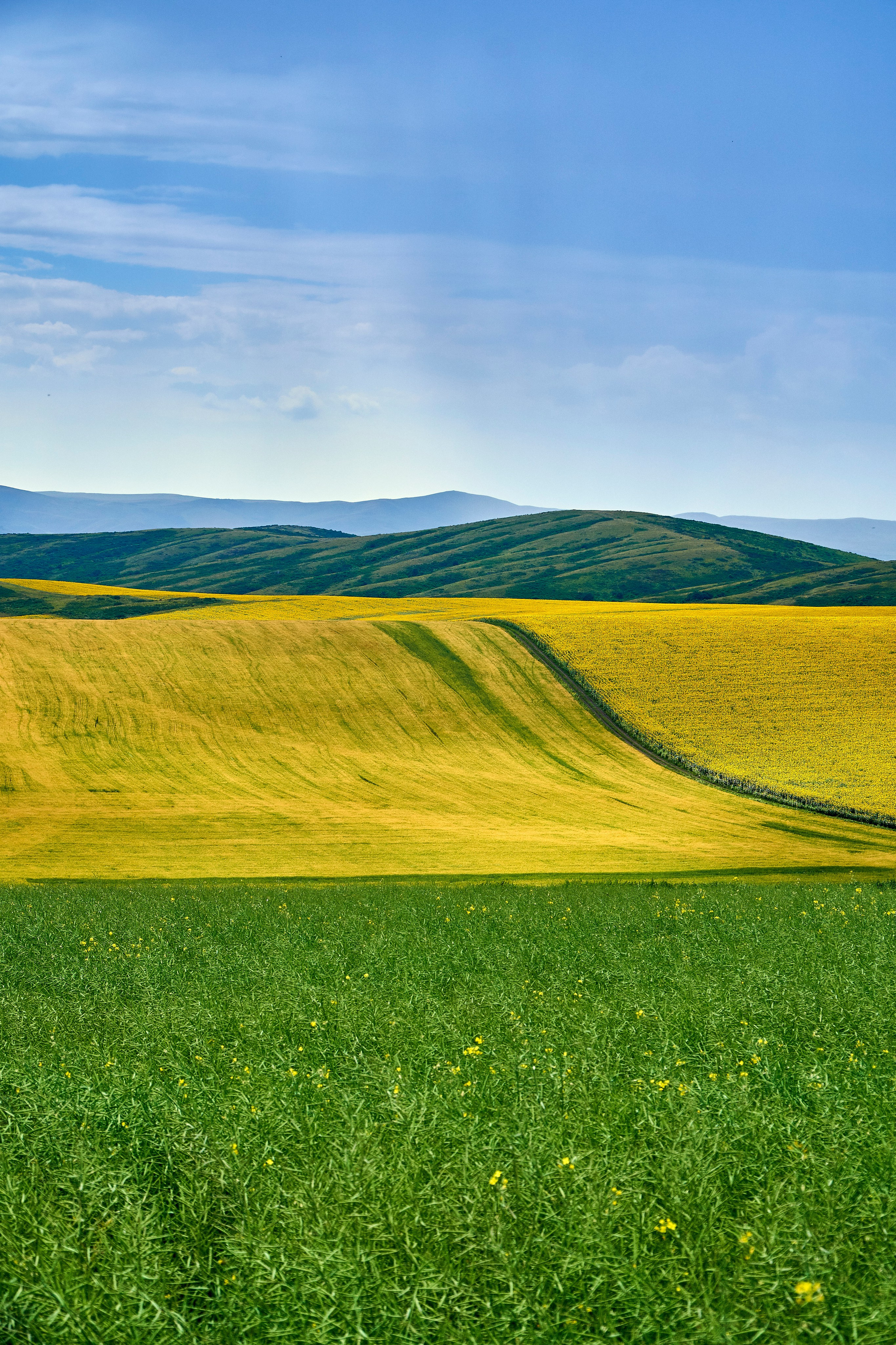 Бухтарма. Андрей Шипилов — Фотография & Видеография