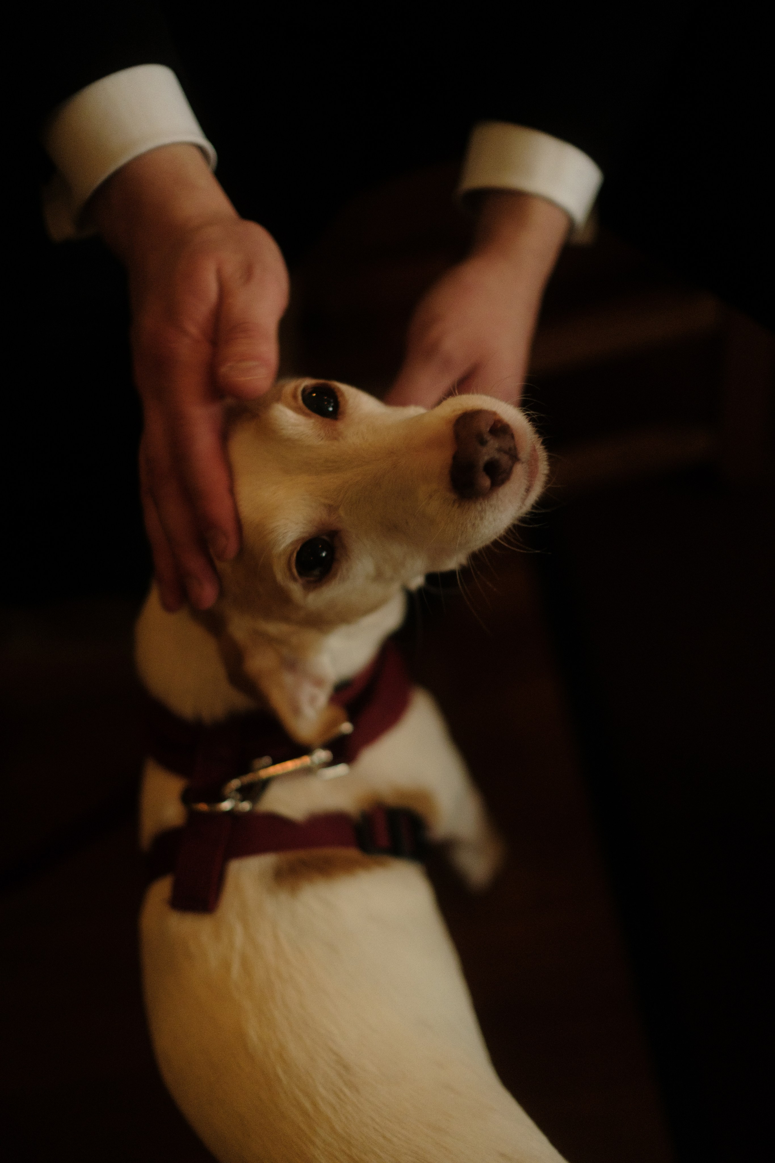 Flo & Men. Rotterdam. Paola wedding photographer / videographer in Barcelona