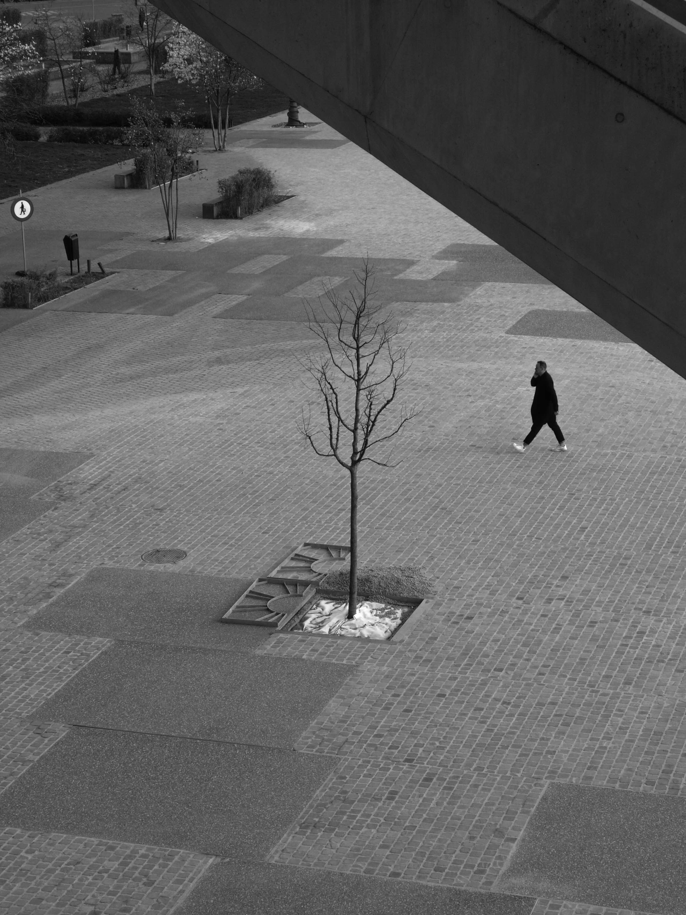 Demyd — art collection