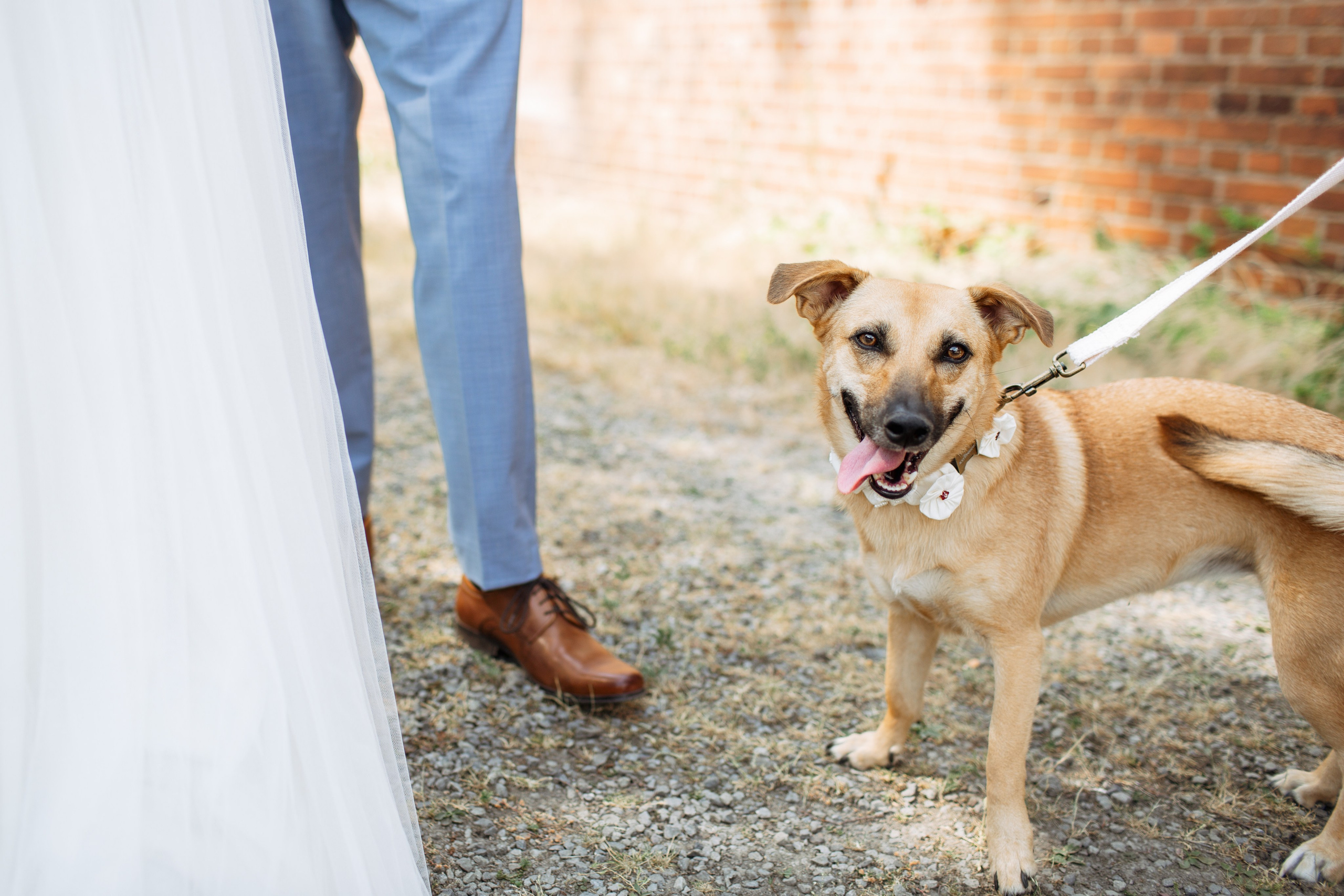 Photo & Make-up Galina Neuberger. Fotografin & Vigasistin aus Bohmte