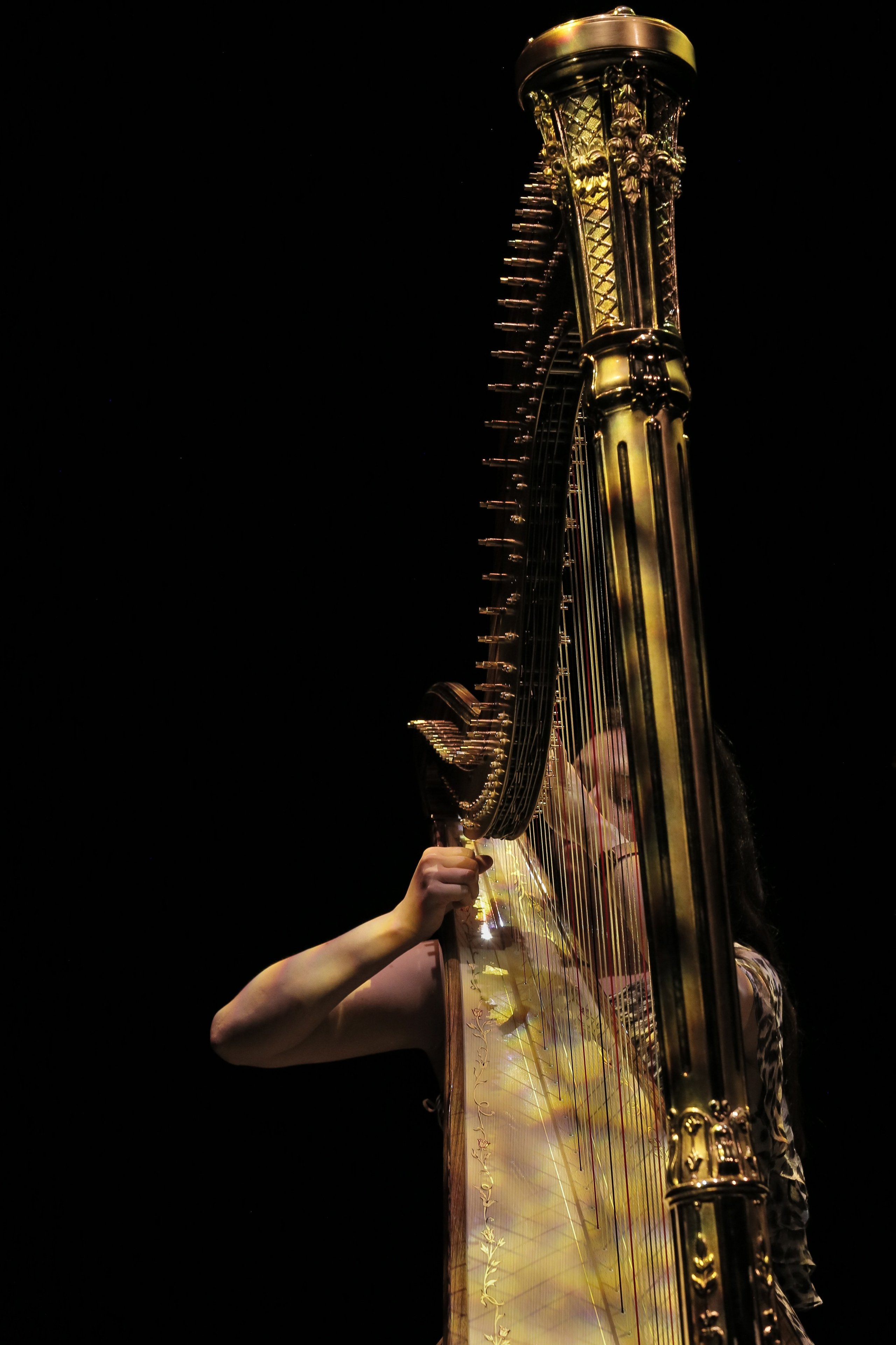 NATURE MORTE et VIVANTE. Natalia Bogdanovska. Films et photographie corporate en France