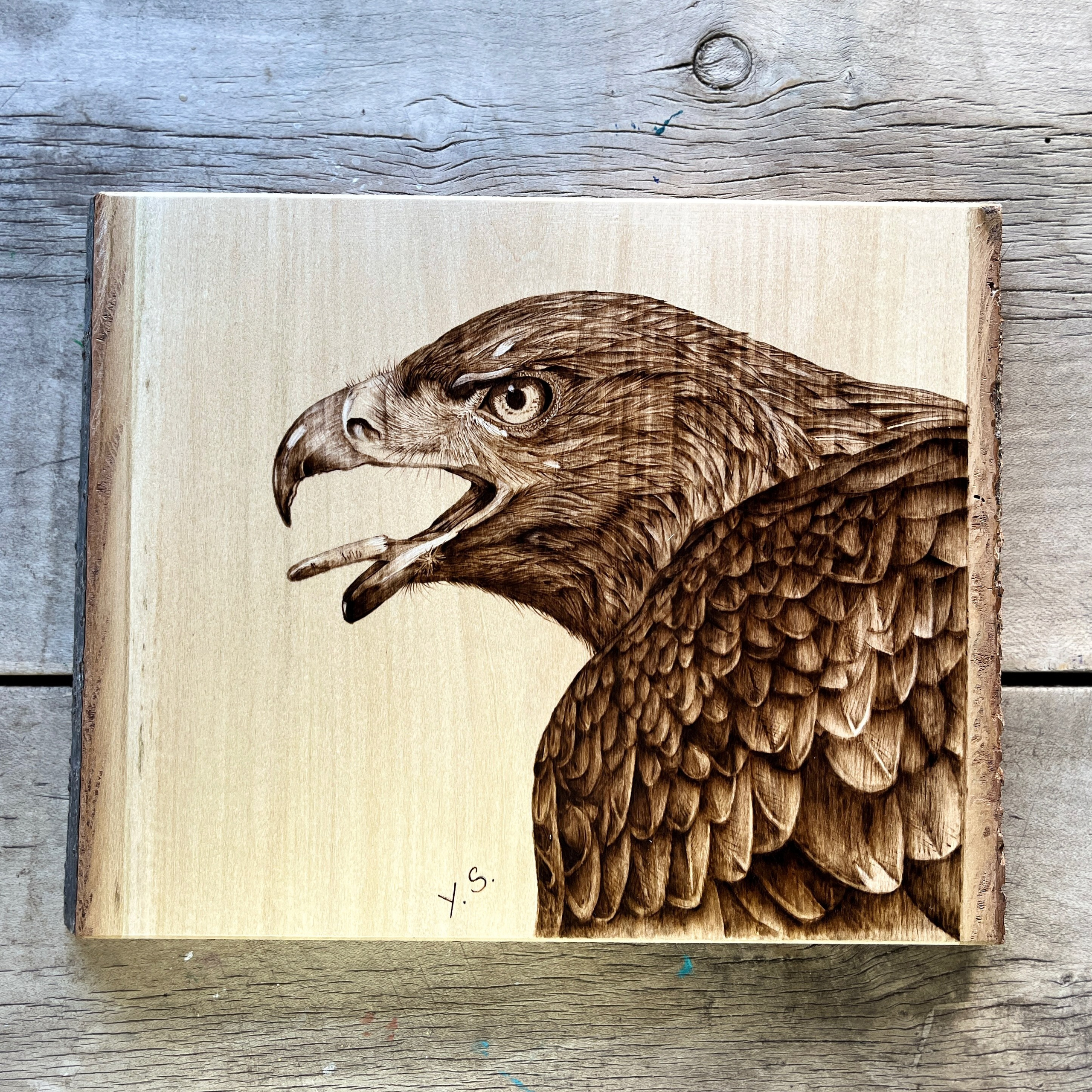 Slike po naročilu. Numerologija. Nevrografika. Delavnice