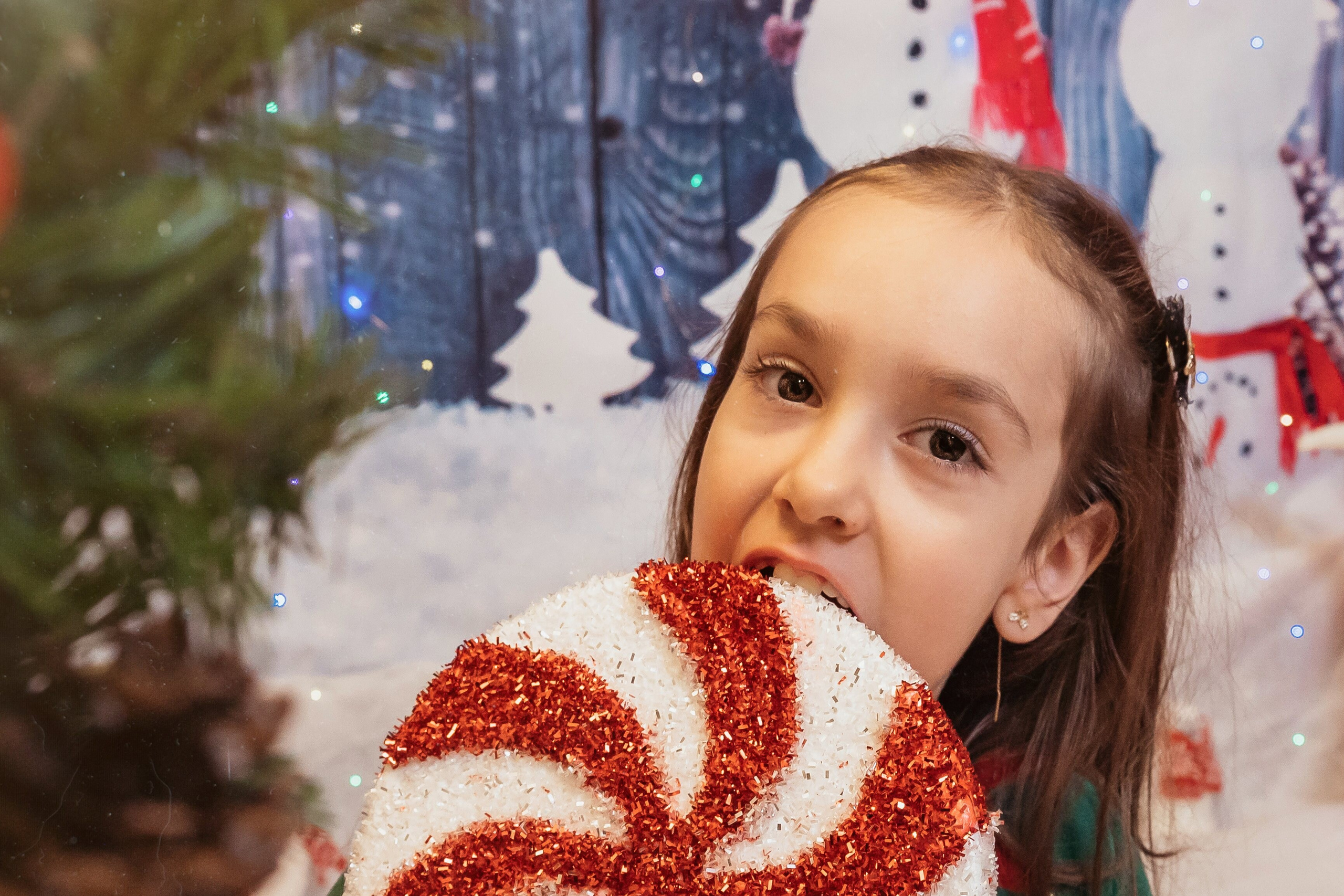 Sedinta Craciun Sofia