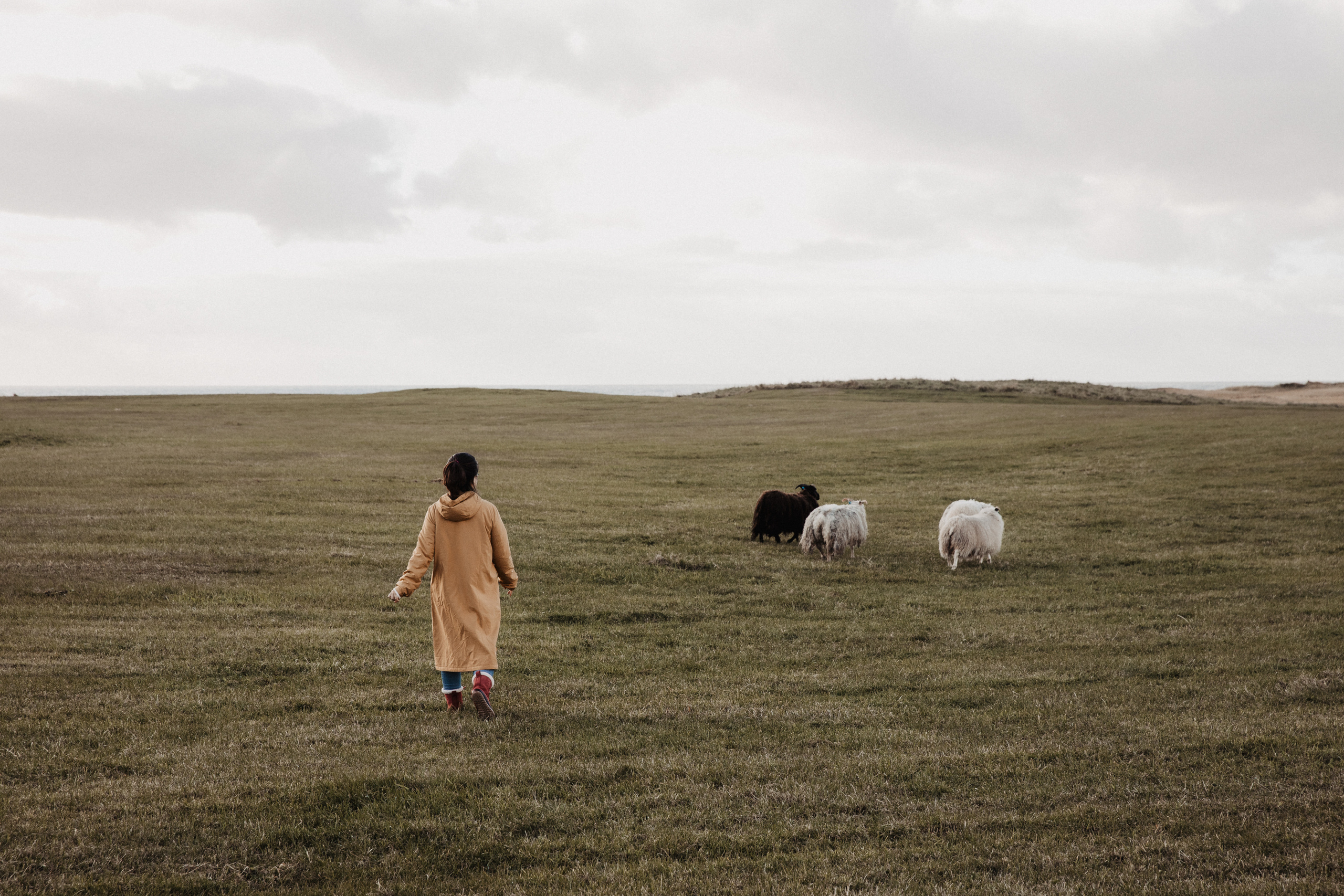 Engagement photoshoot in Iceland. Iceland elopement photo and video | Nikolaichik Photo