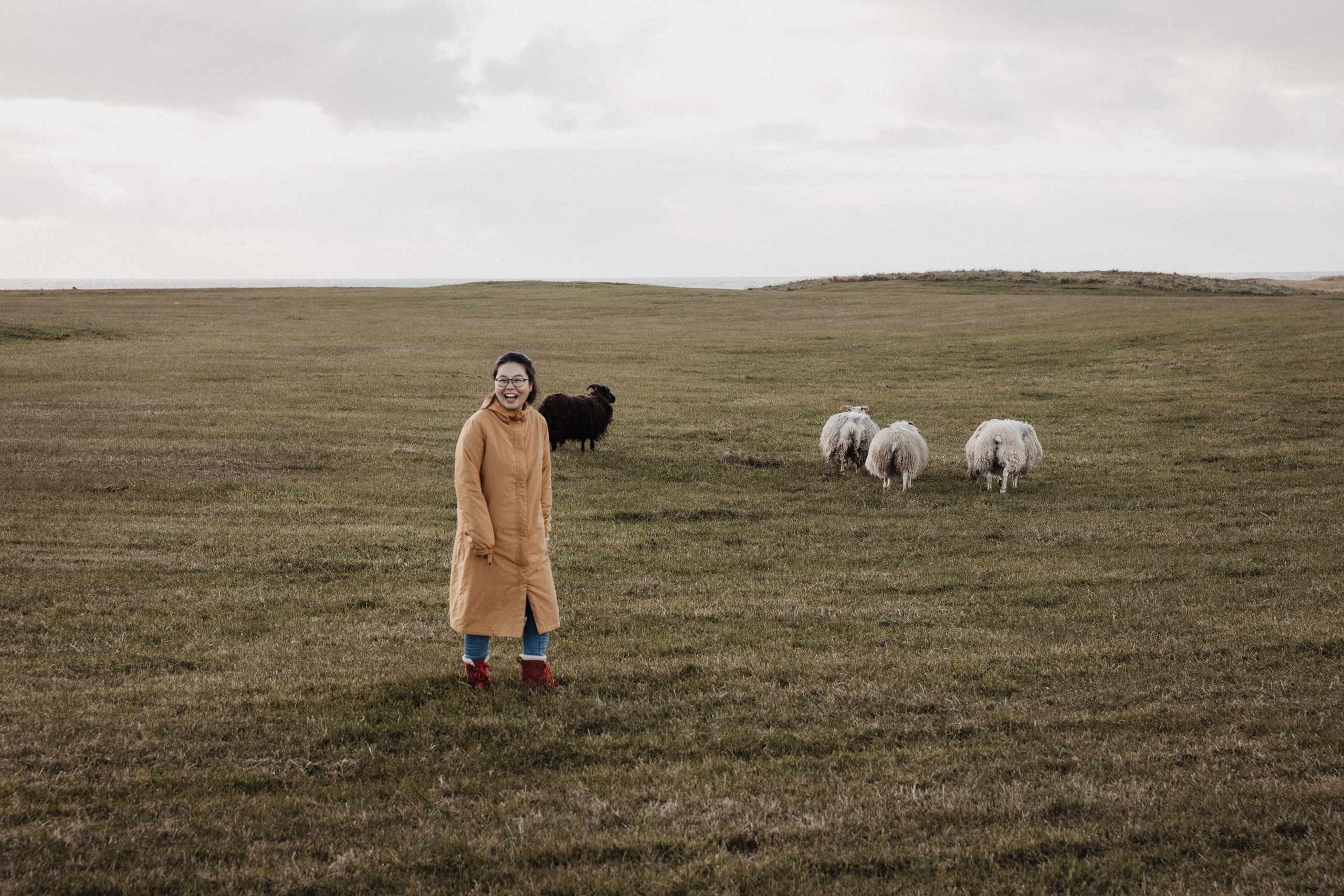 Engagement photoshoot in Iceland. Iceland elopement photo and video | Nikolaichik Photo