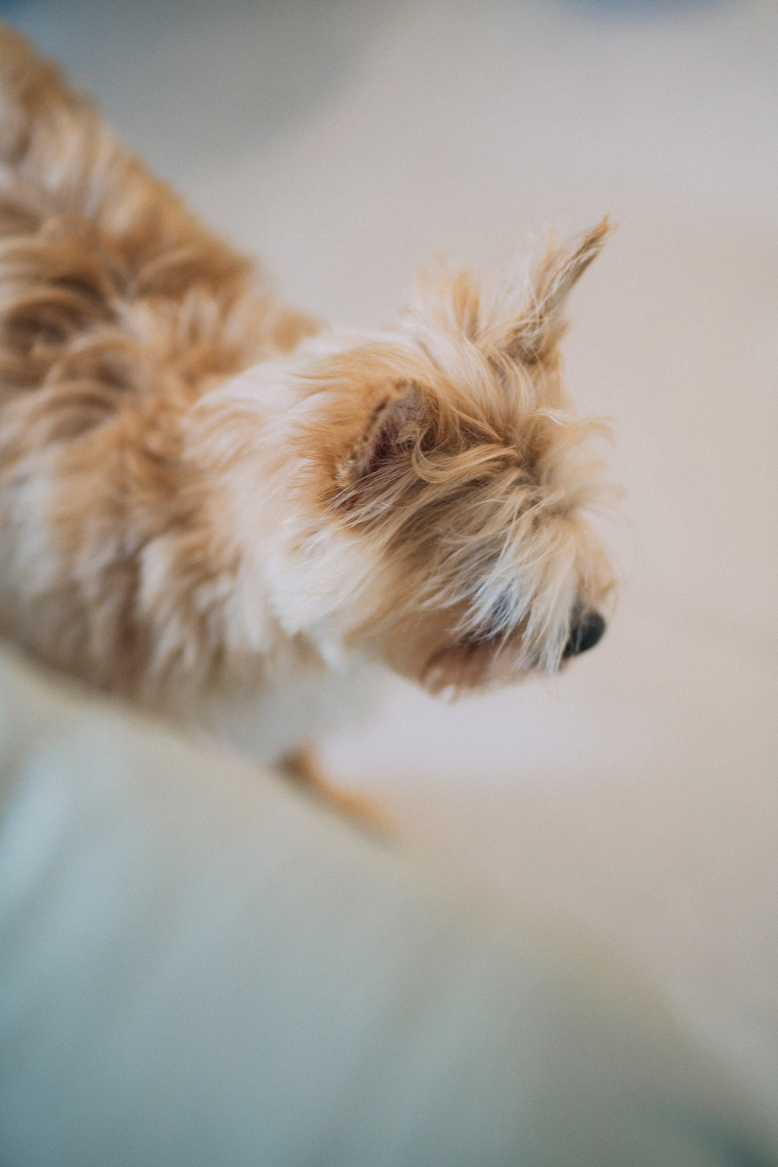 Nerea y Samuel. Christian García