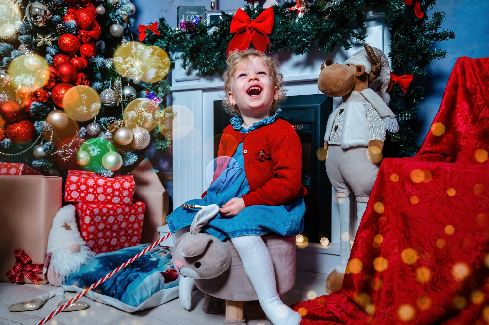 Sedinta Craciun Lucian