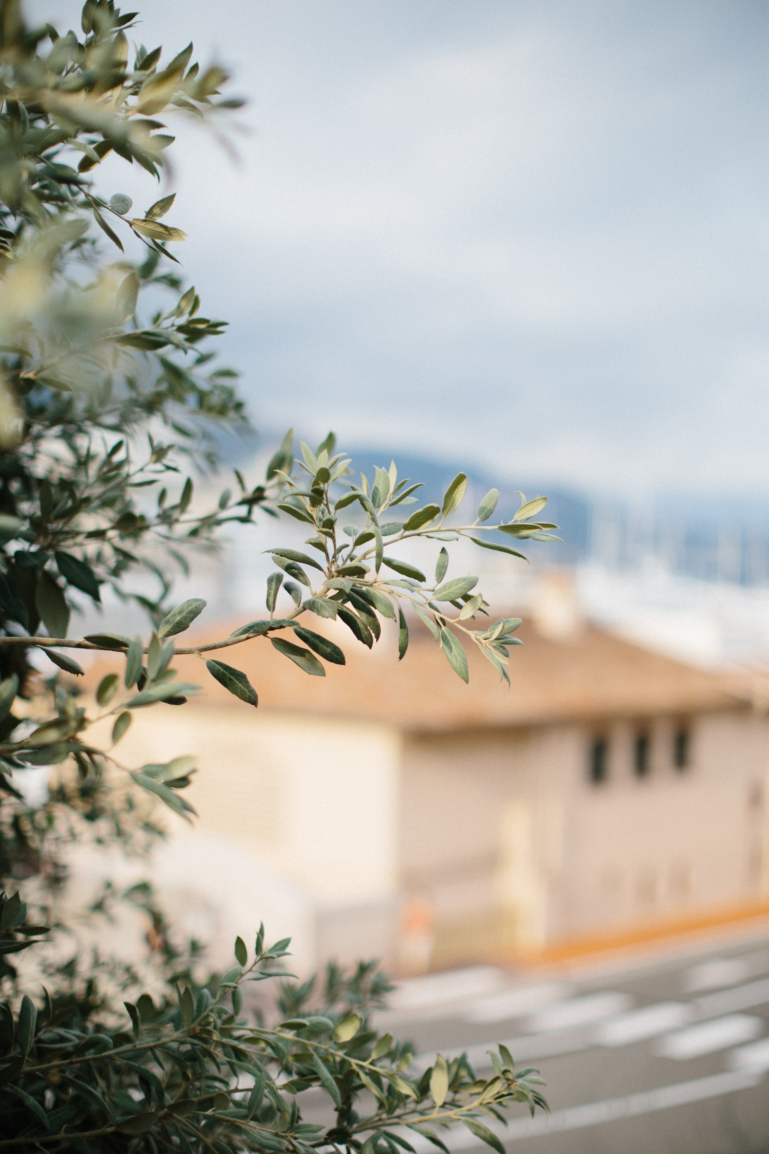 Монако. Фотограф в Германии — Мария Чистякова