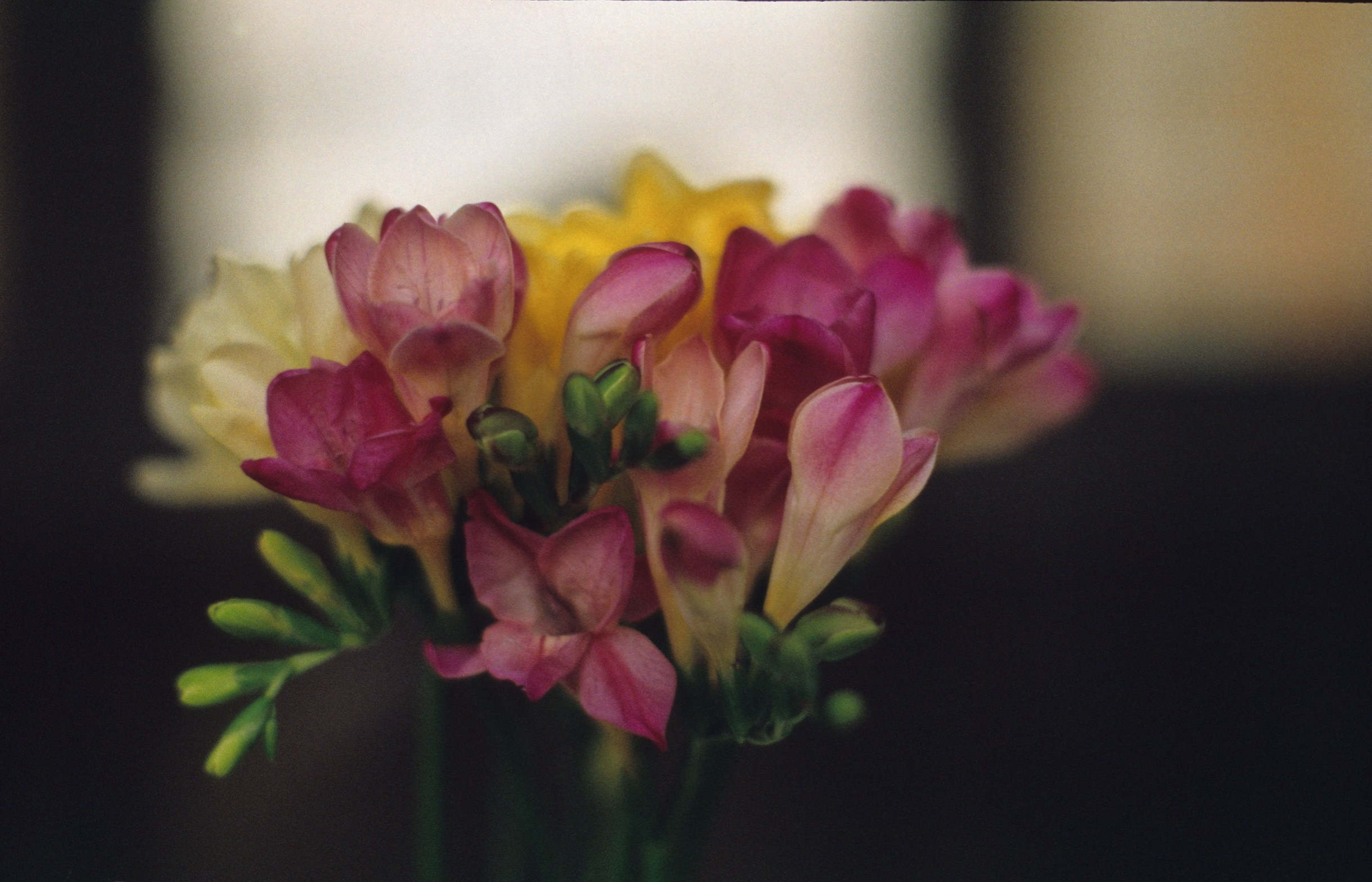 Close-Up. Yuri Popkov | Photographer