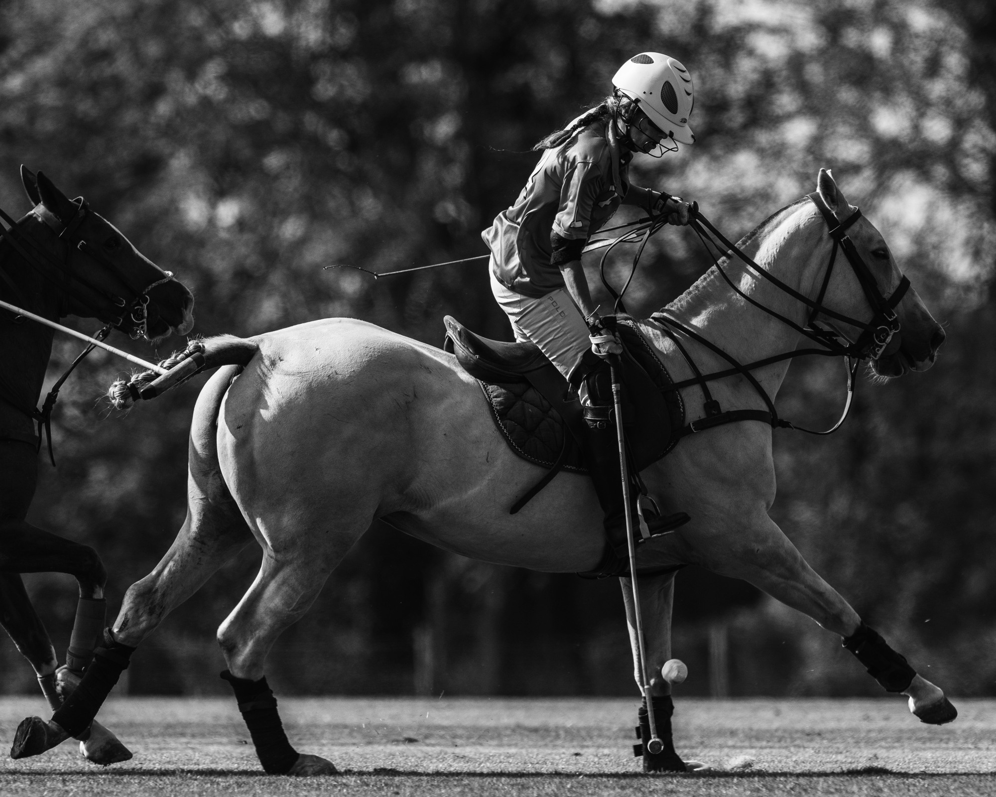 Family Polo Day Photo Shooting
