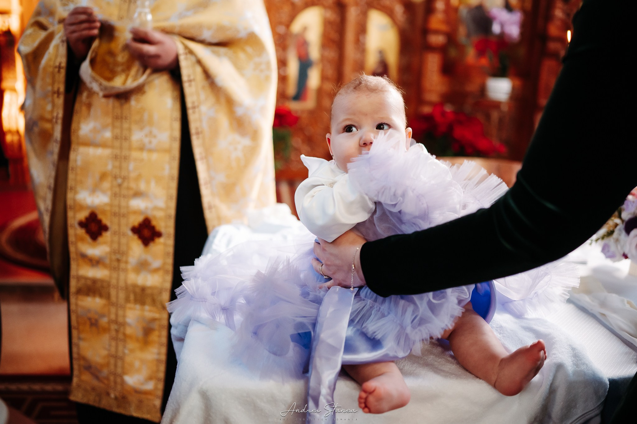 Zenayda. Andrei Stanea