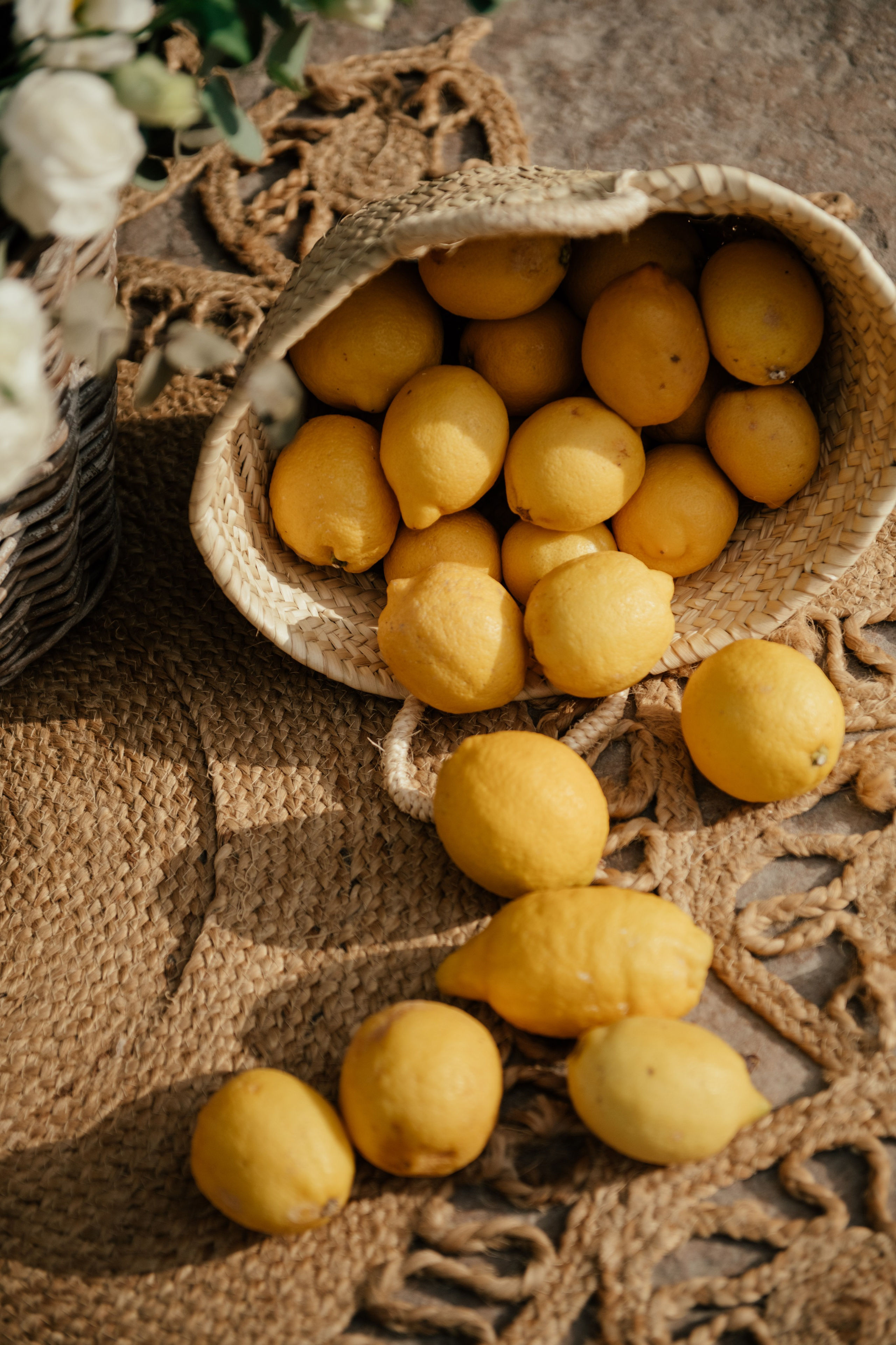 Alicia & Marc (Finca Marques de Montemolar)