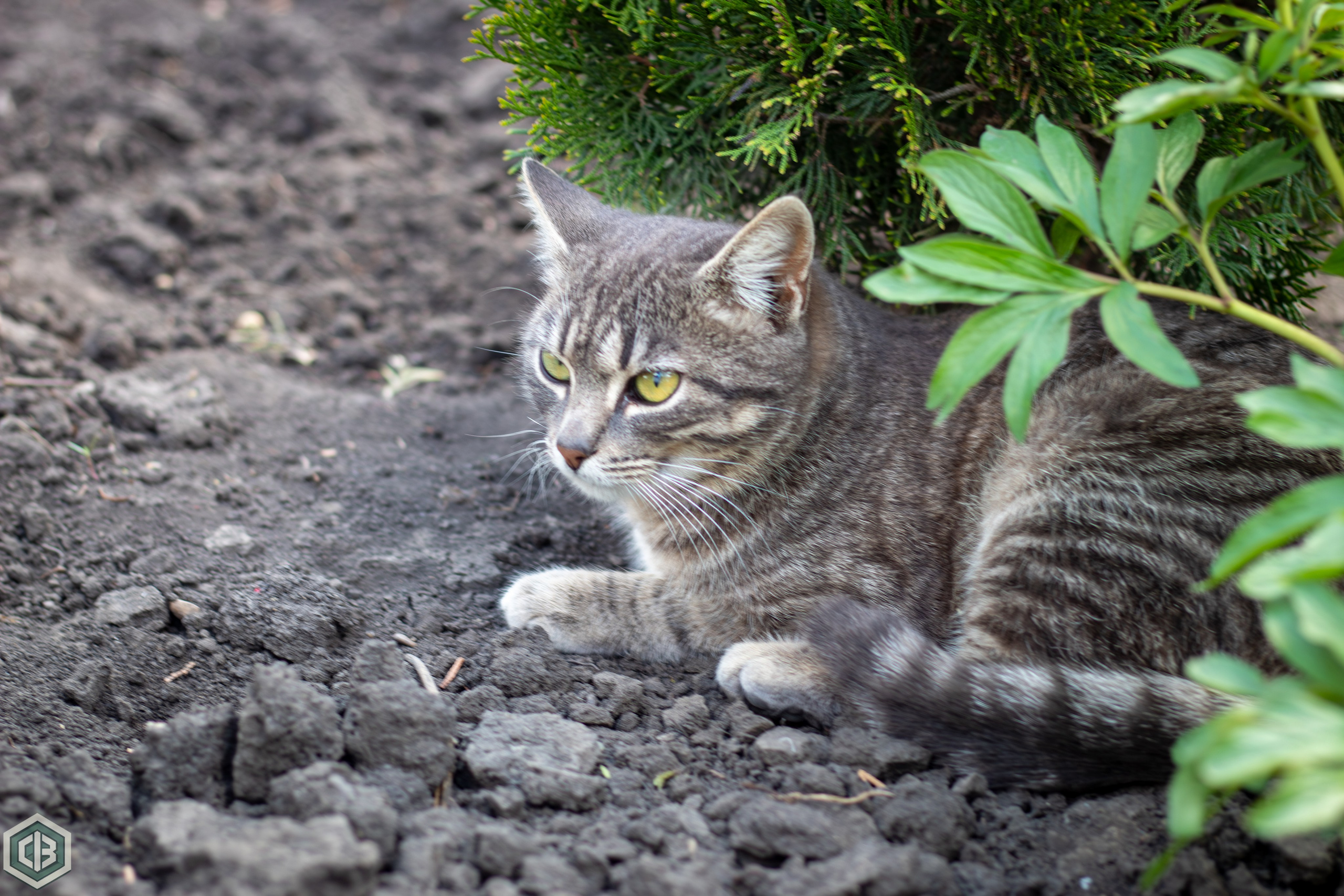 Trip to Mileanca. Cristian Baltag | Photography | Capturing Moments in Iasi