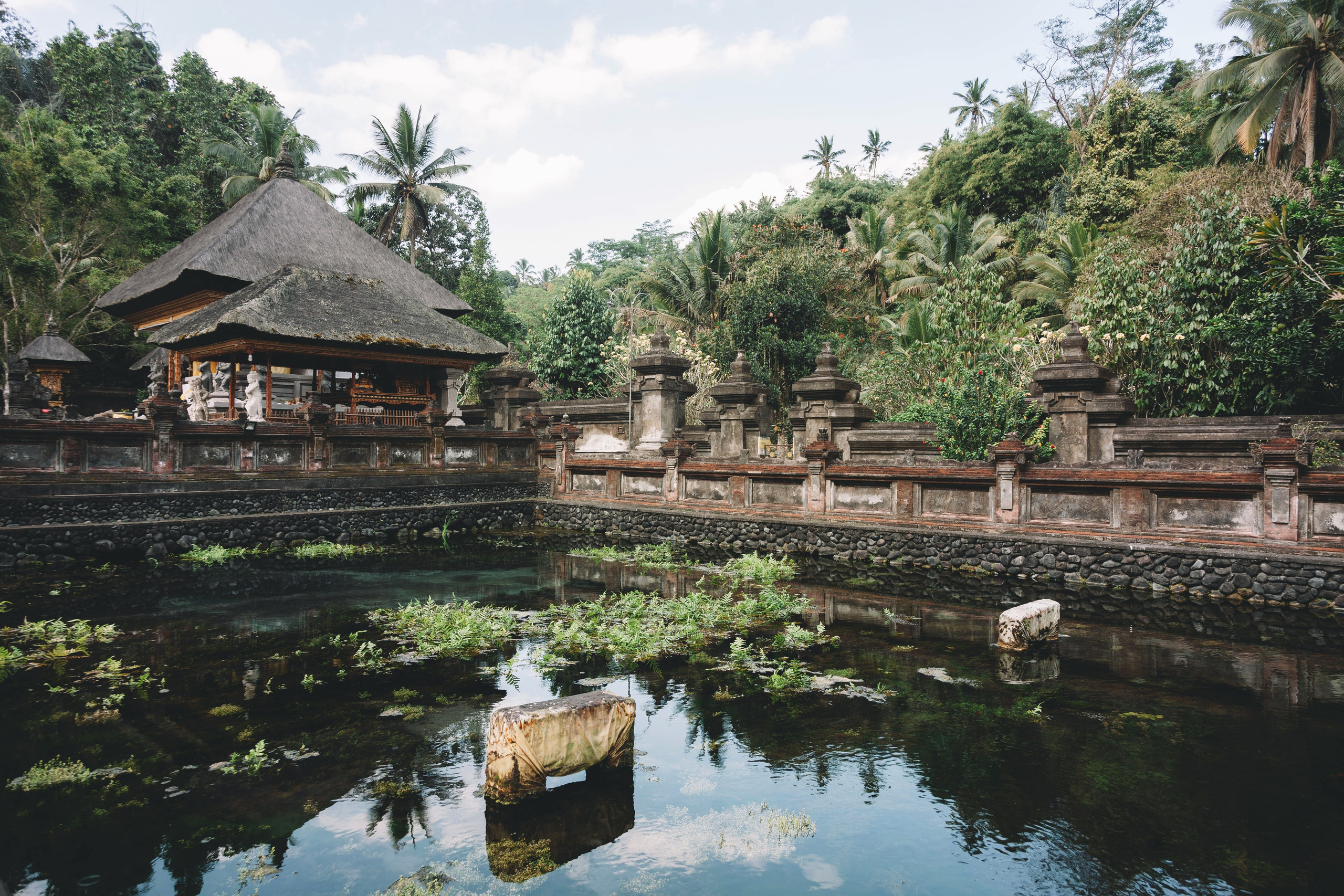 Landscapes. Wedding photographer Lyubov Sun Reutlingen