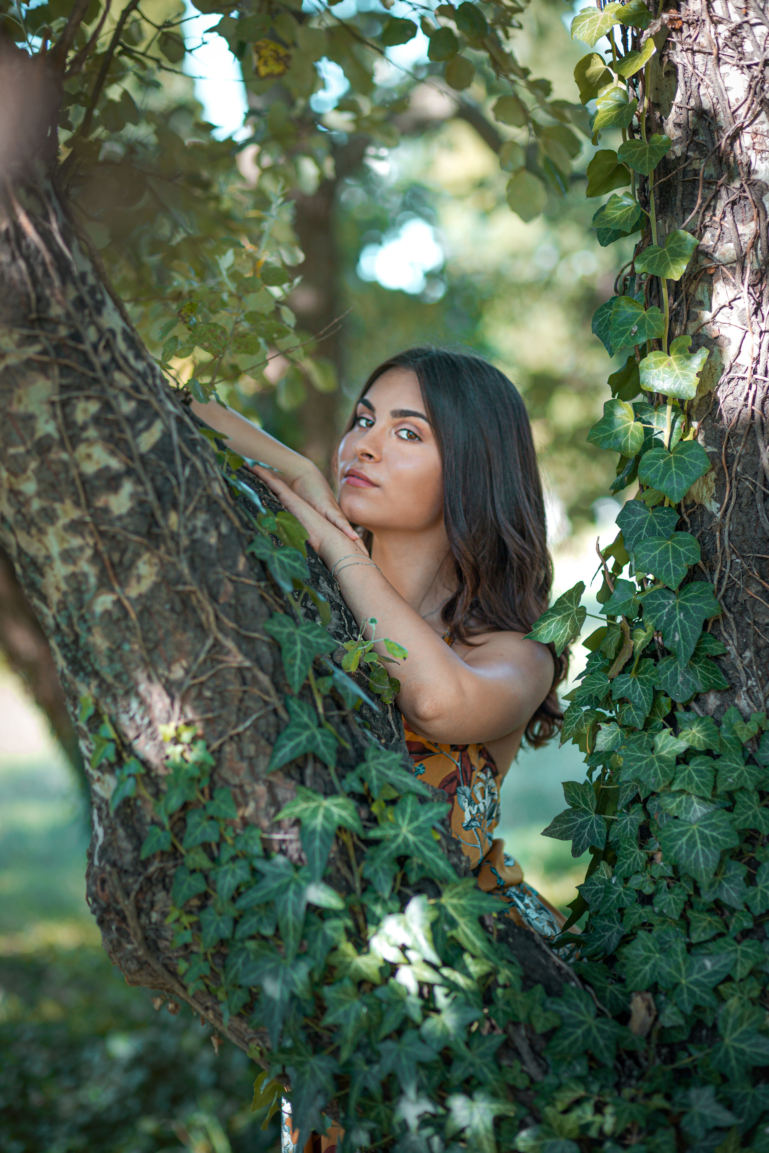 Фотосесия в лавандула,. Фотограф Бургас. Фотосесии в студио и на открито, портрети, заснемане