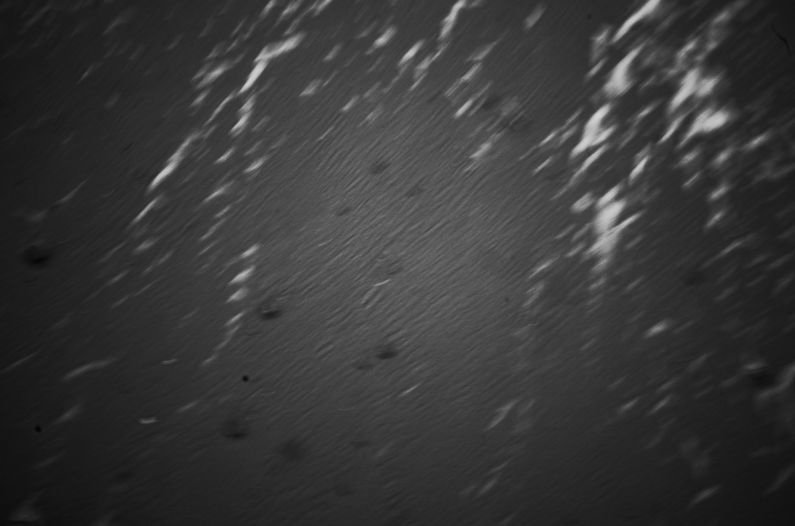 Dance at the new moon. Victoria Dini. Art photography in London / Folkestone, UK