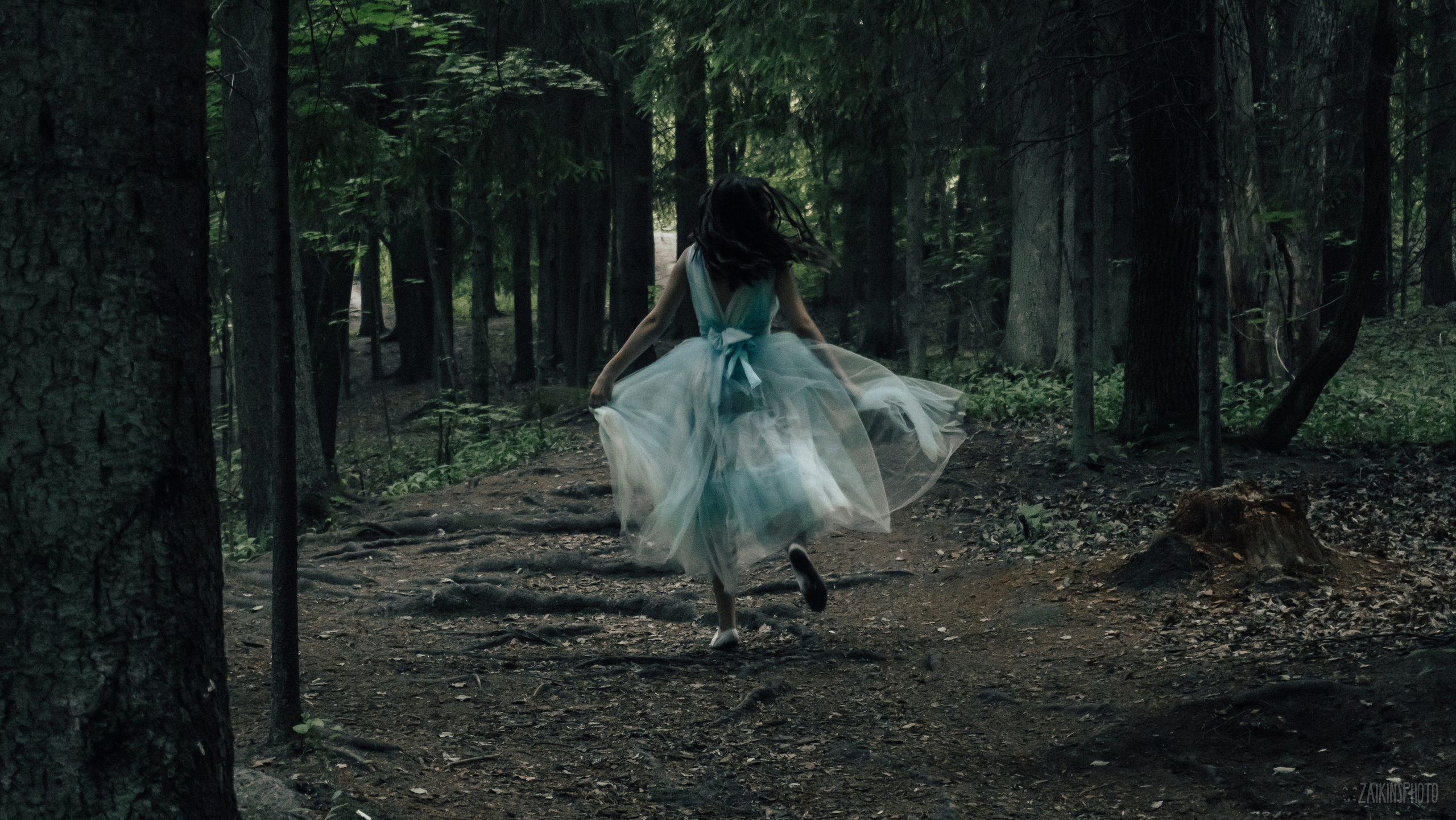 Alice In Wonderland. Main