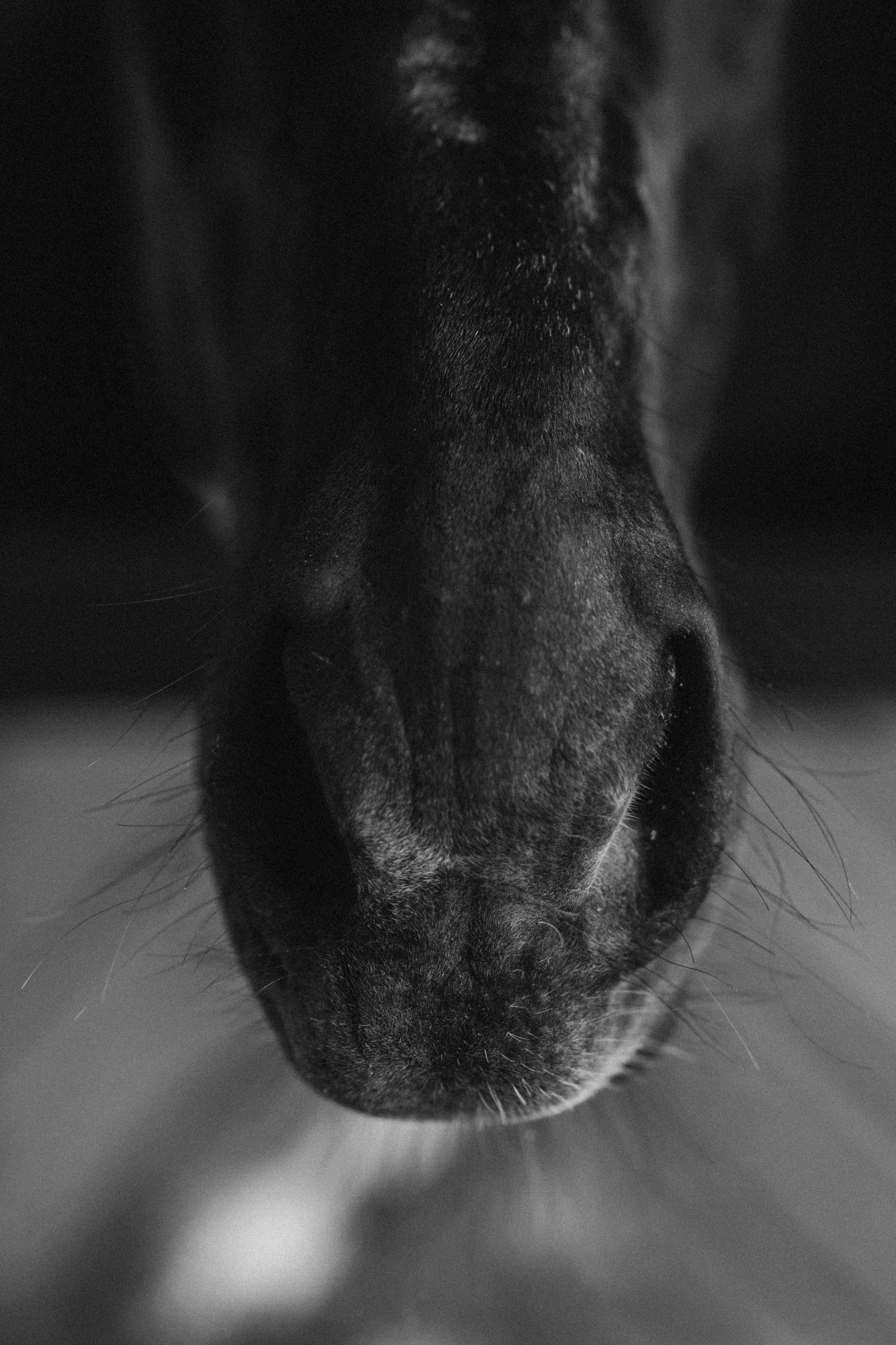 Susanna Hyypiä. Wedding and portrait photographer in Helsinki Vickan O